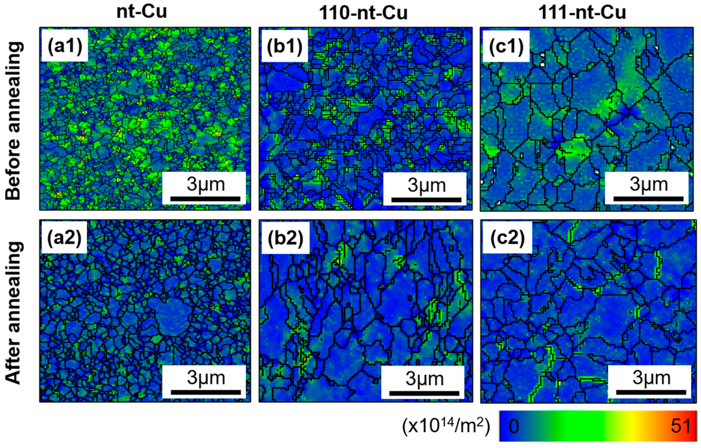 Micromachines 15 01370 g008