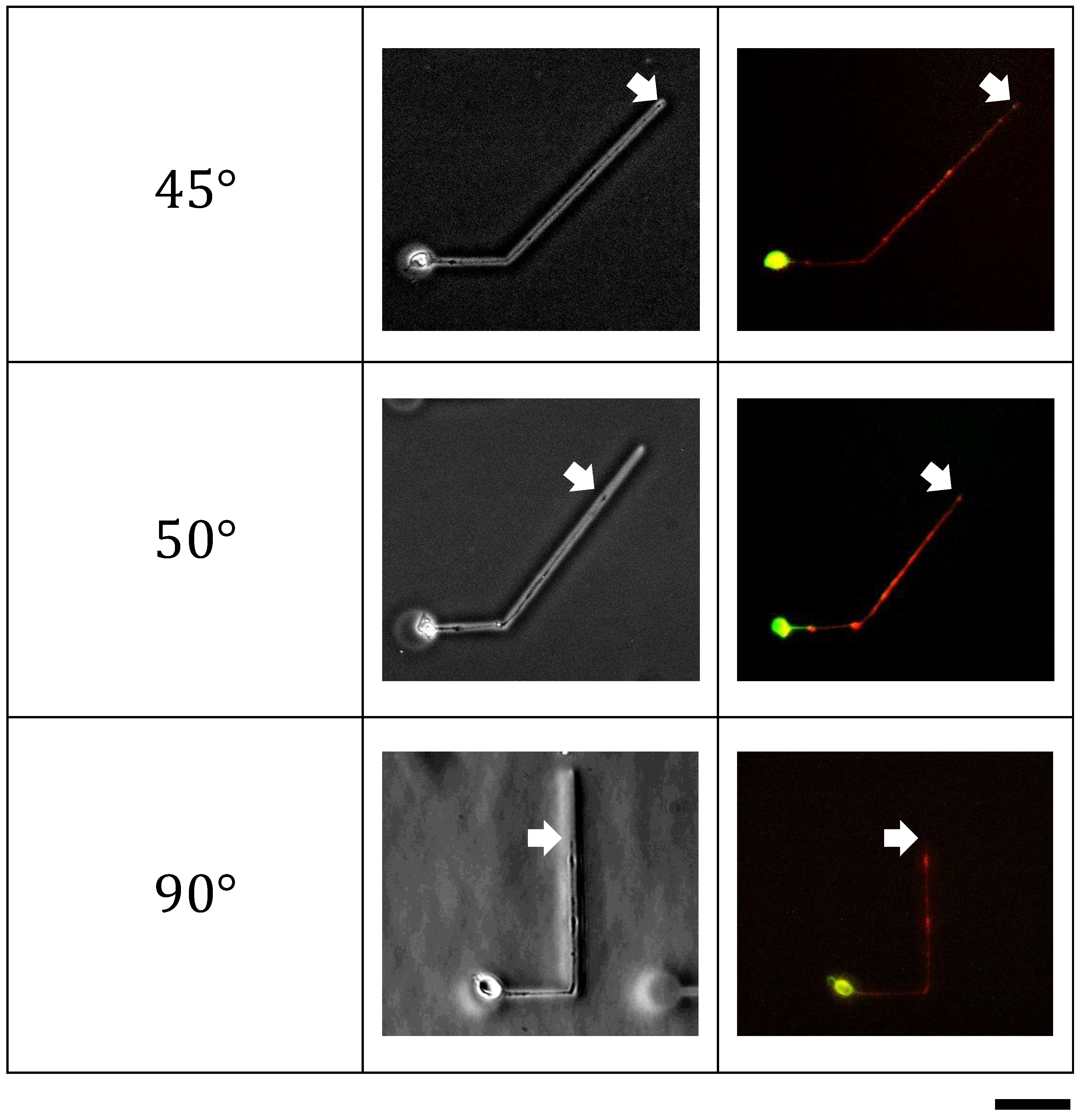 Micromachines 15 01374 g003
