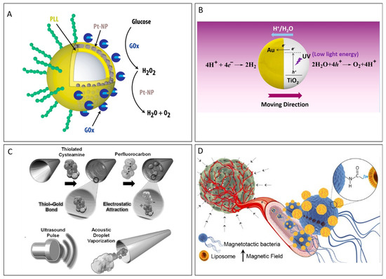 Micromachines 15 01454 g003