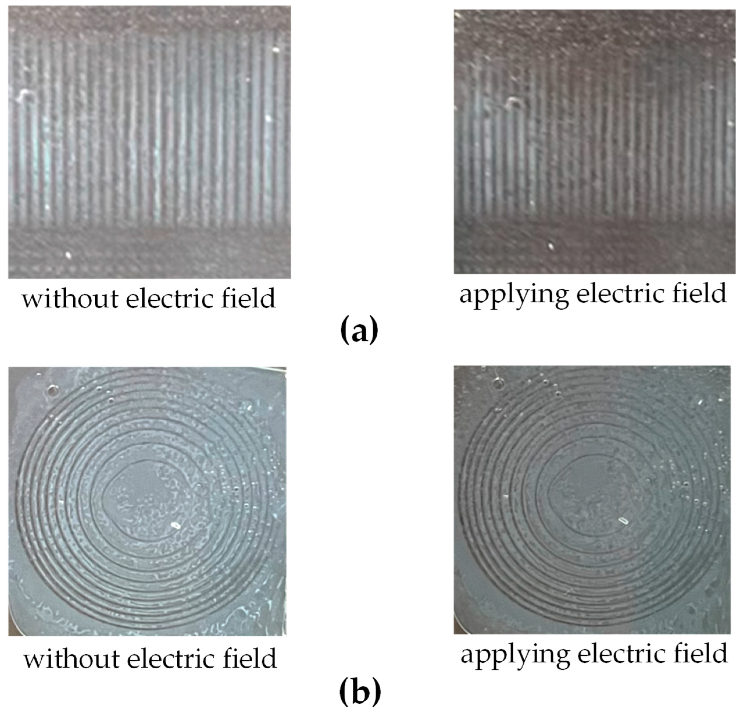 Micromachines 16 00026 g011