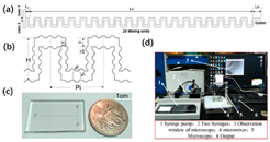 Micromachines 16 00082 i010