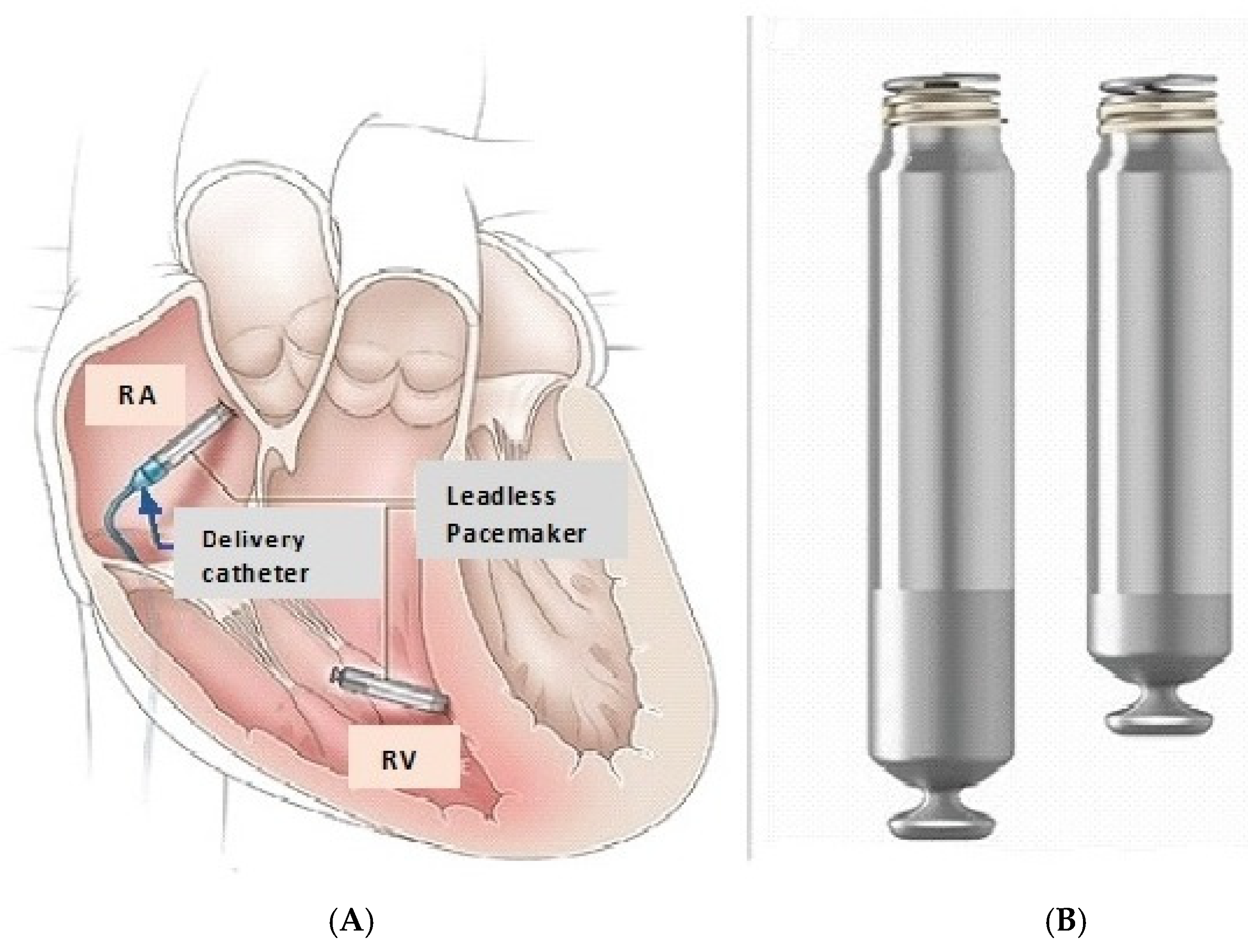 Micromachines 16 00089 g003