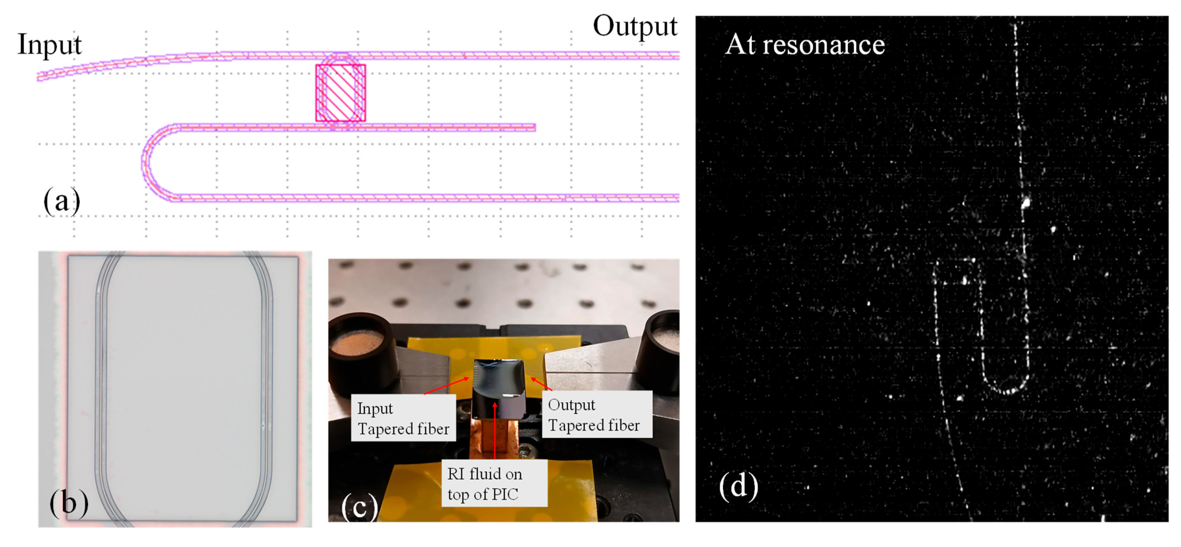 Micromachines 16 00119 g005
