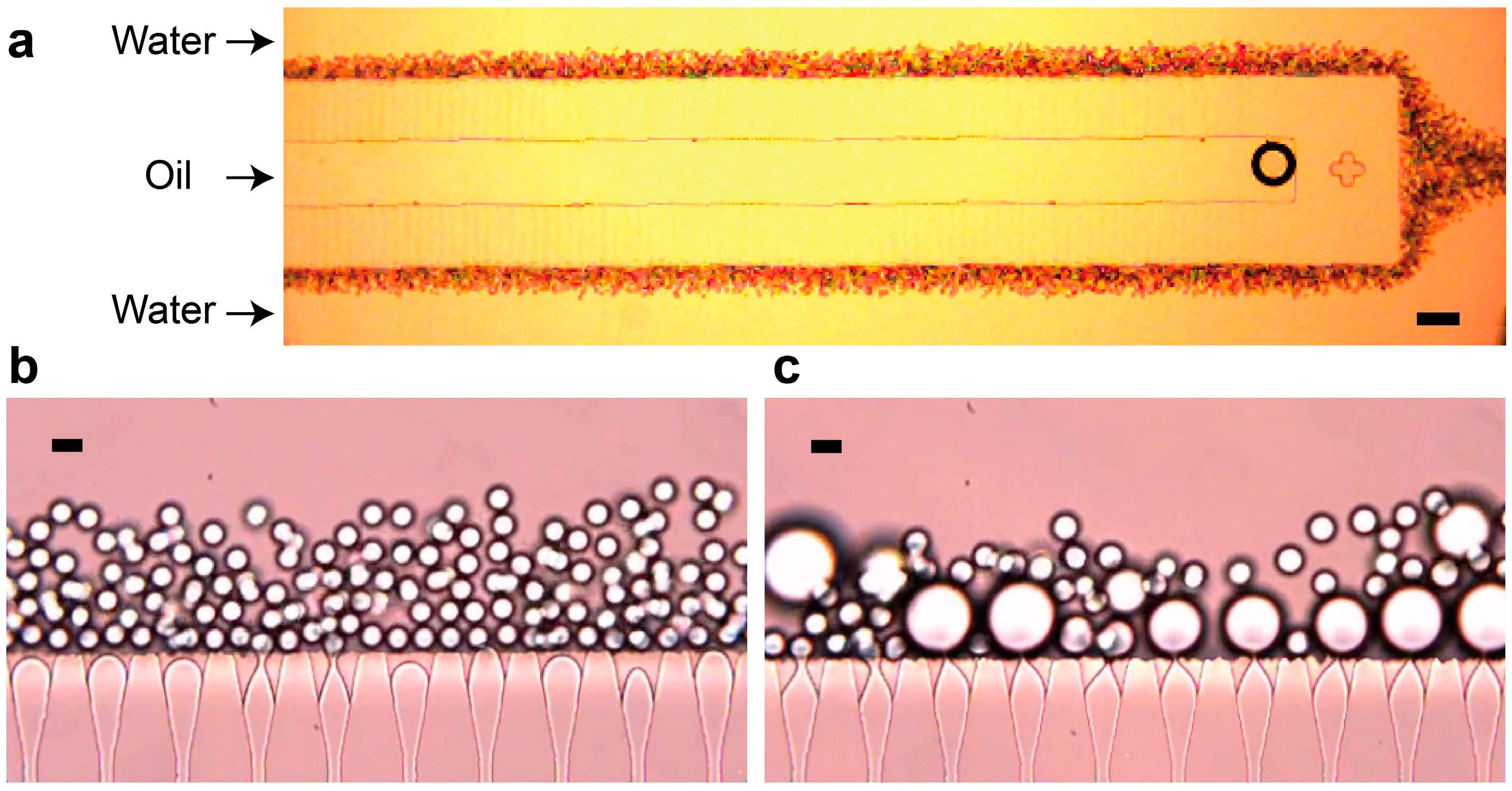 Micromachines 16 00132 g004