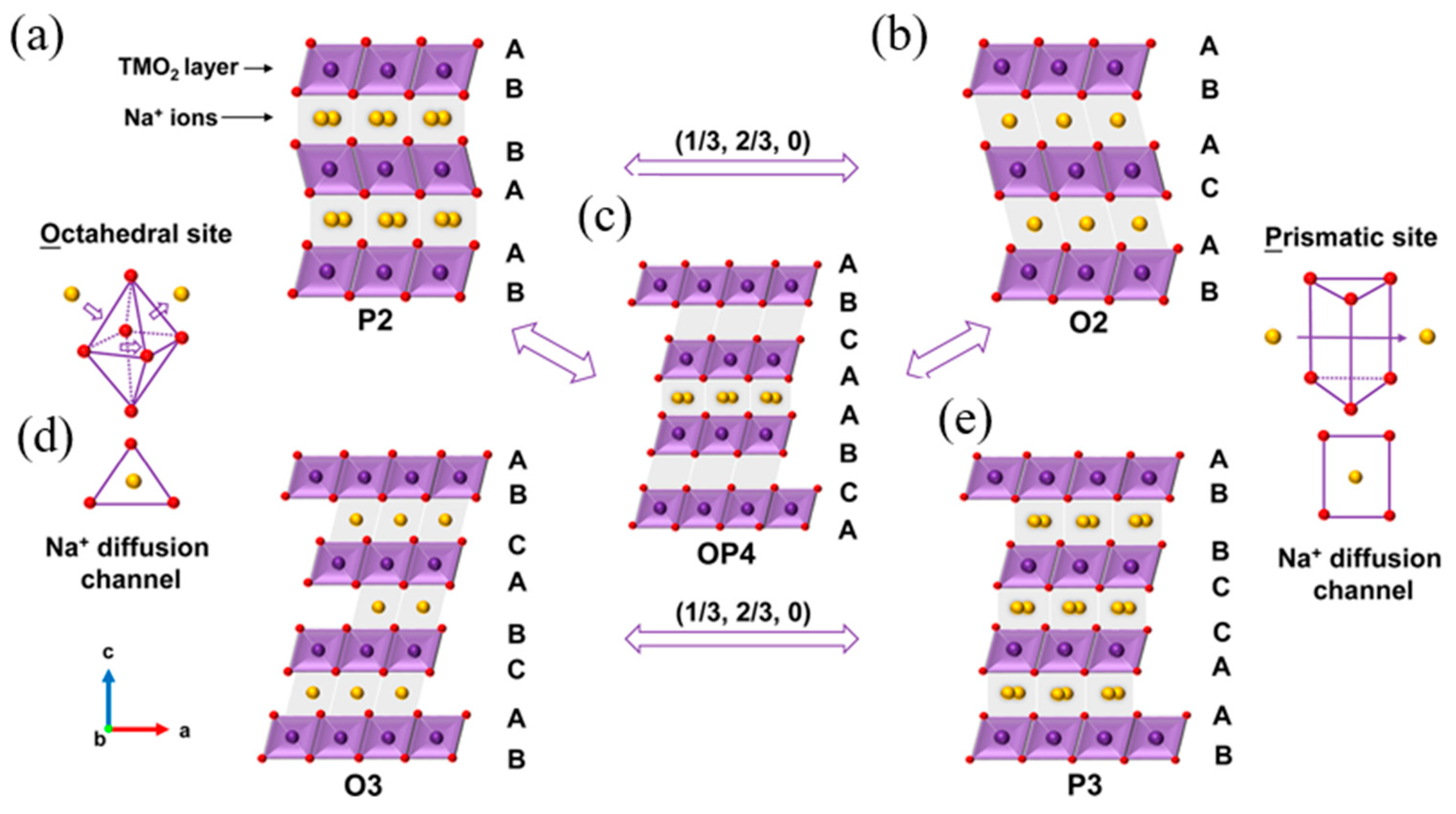 Micromachines 16 00137 g004