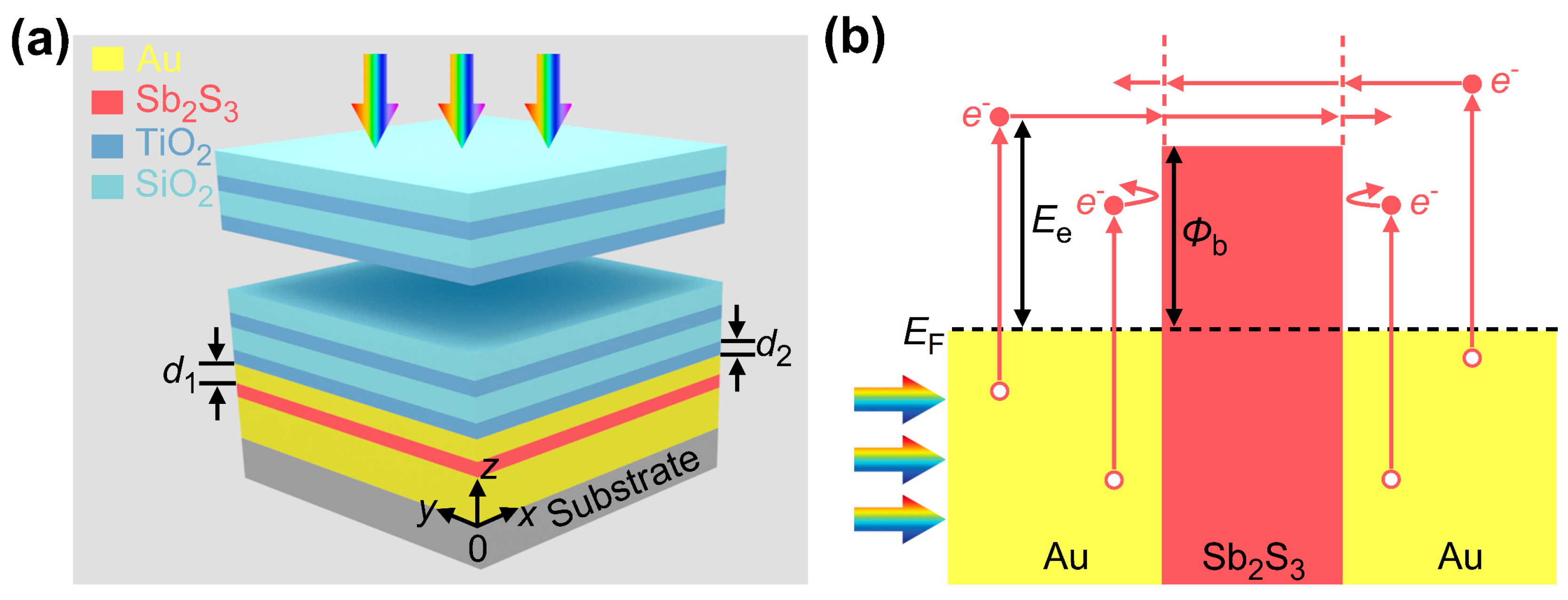 Micromachines 16 00146 g001