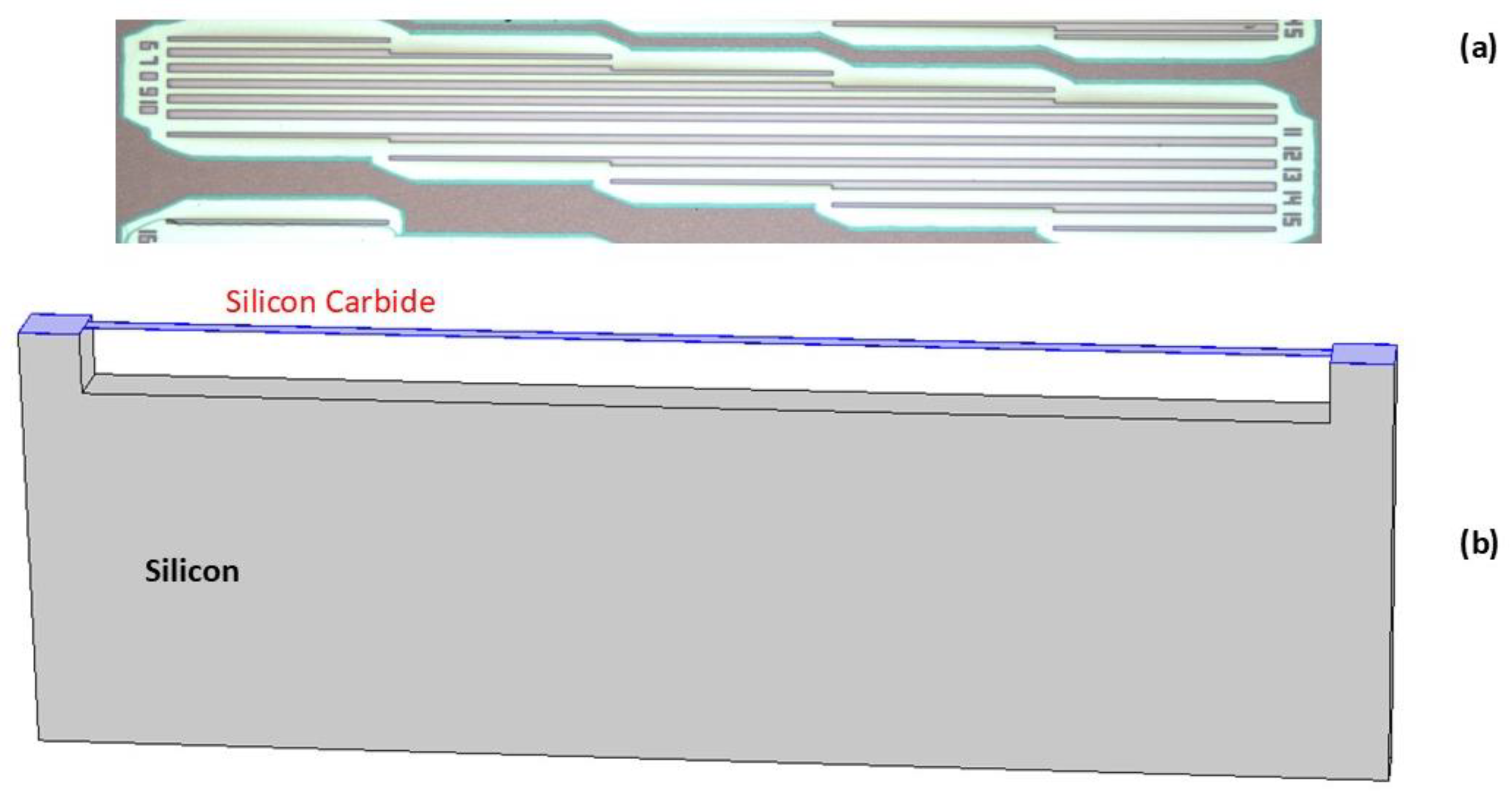 Micromachines 16 00148 g001