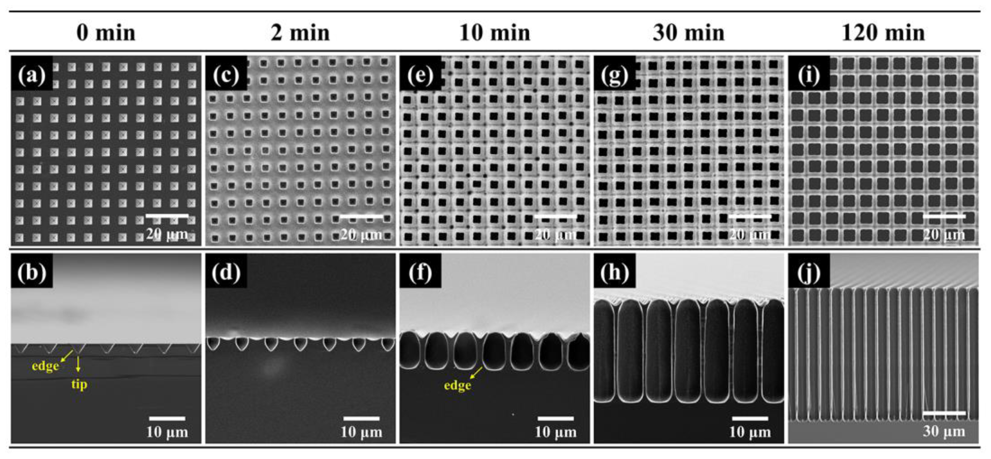 Micromachines 16 00154 g006