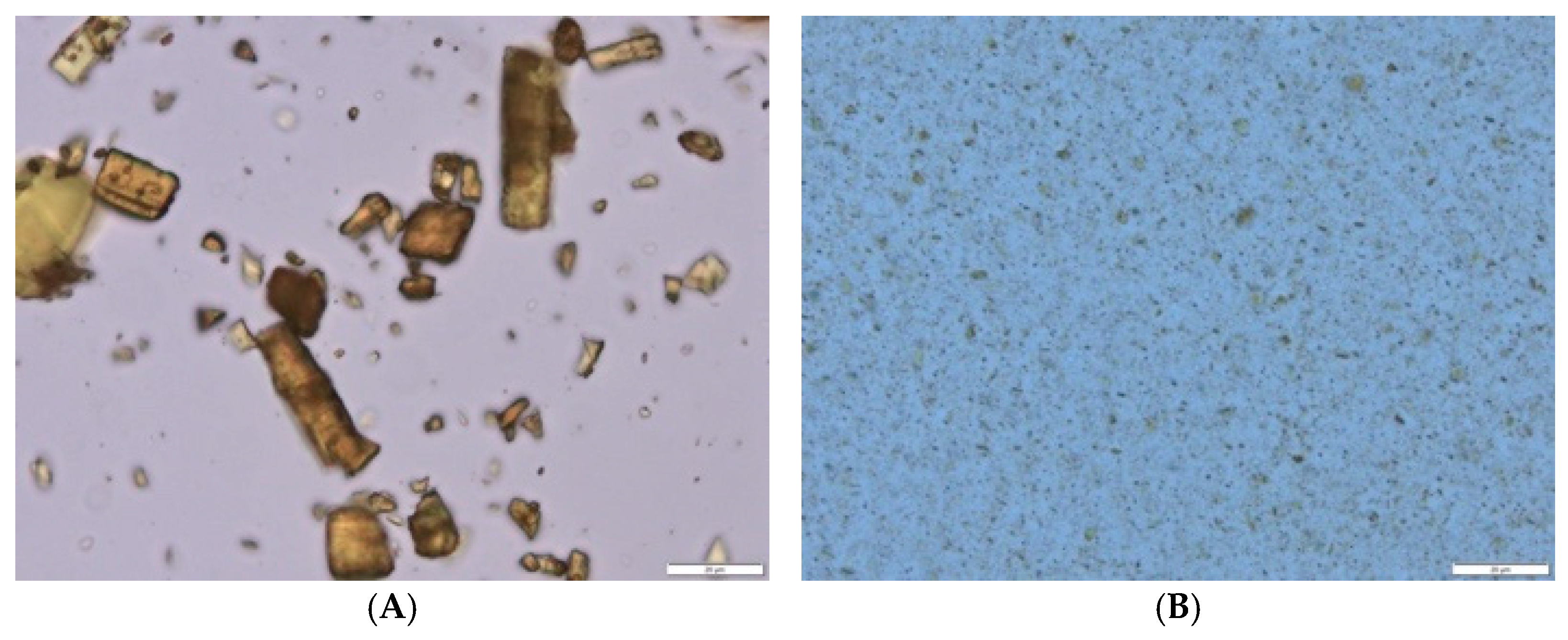 Micromachines 16 00155 g002