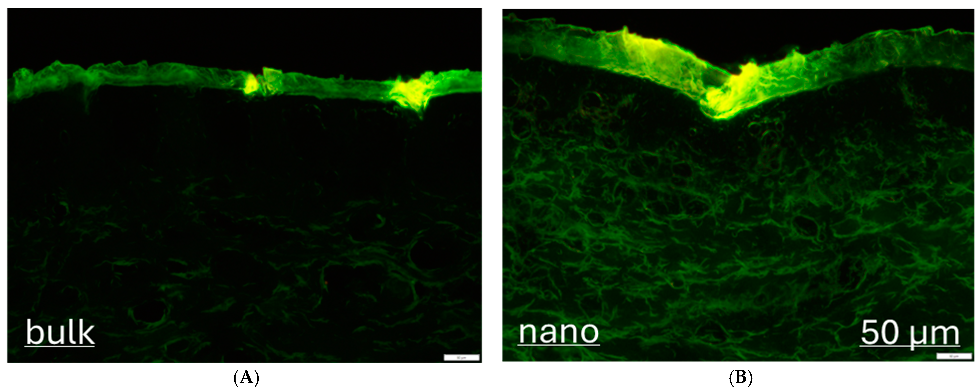 Micromachines 16 00155 g003