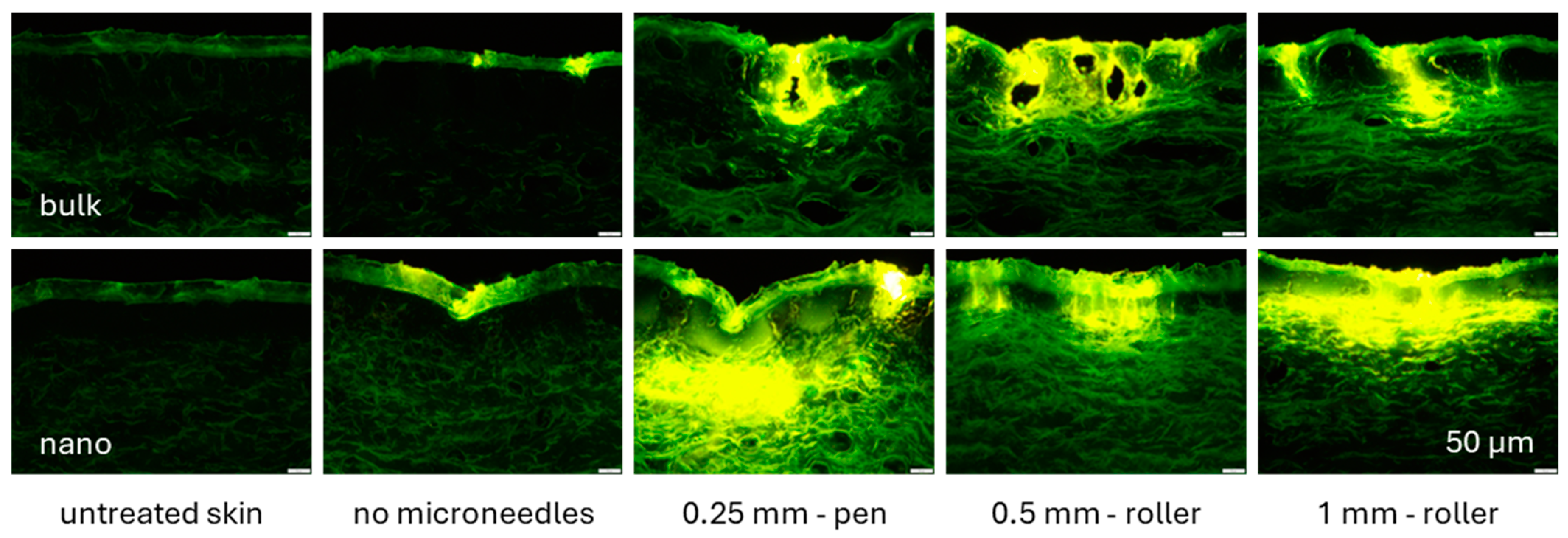 Micromachines 16 00155 g006