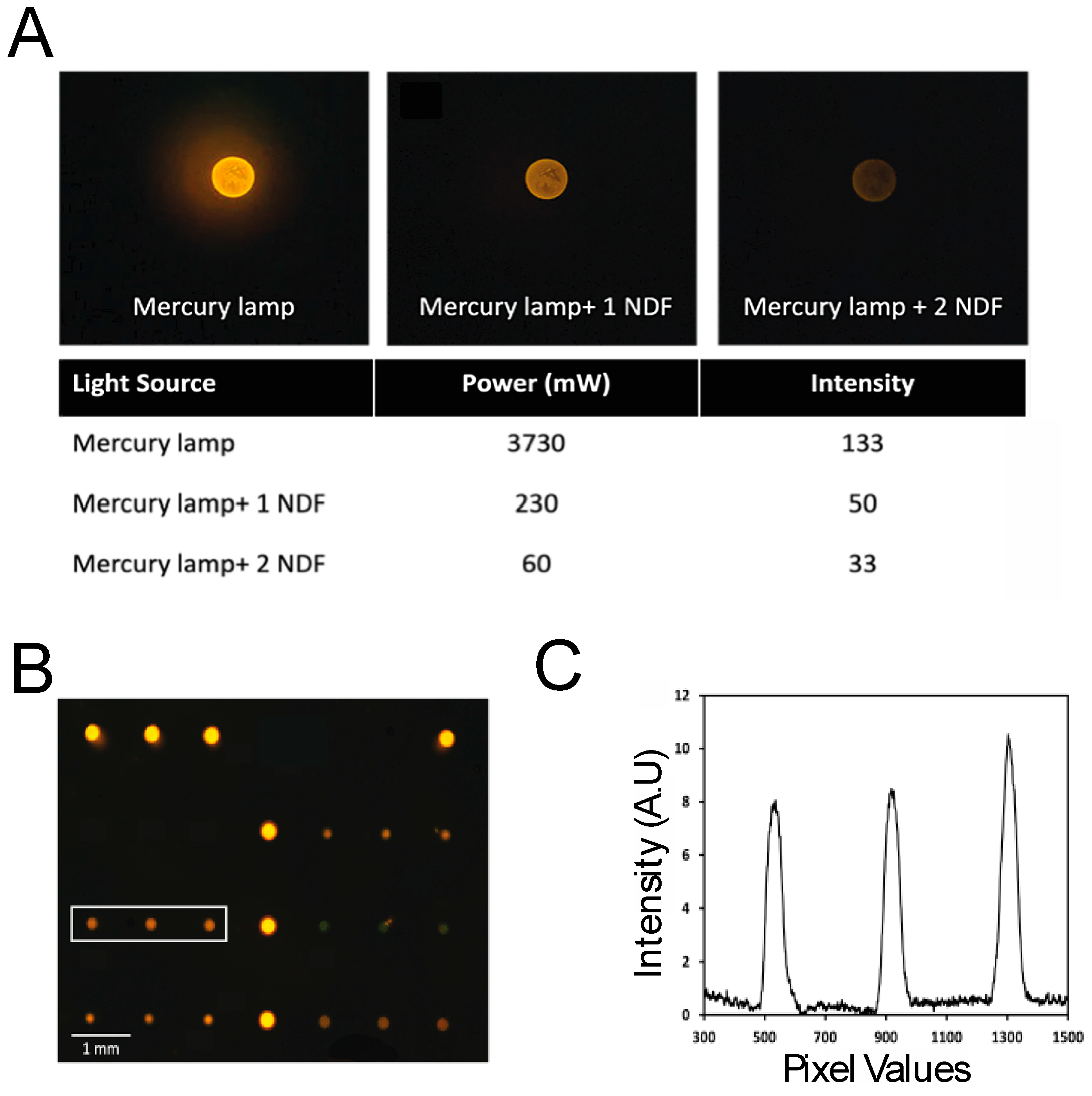 Micromachines 16 00156 g004