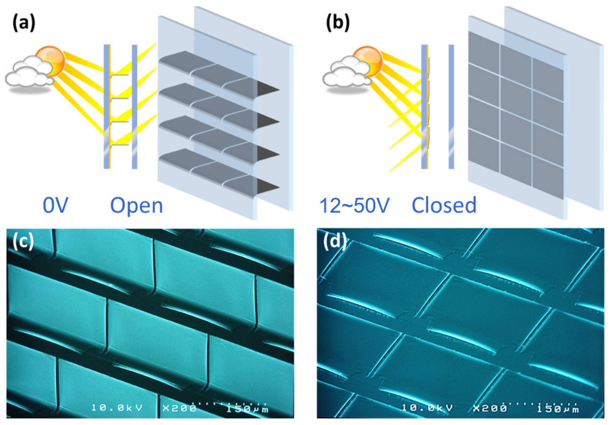 Micromachines 16 00157 g001