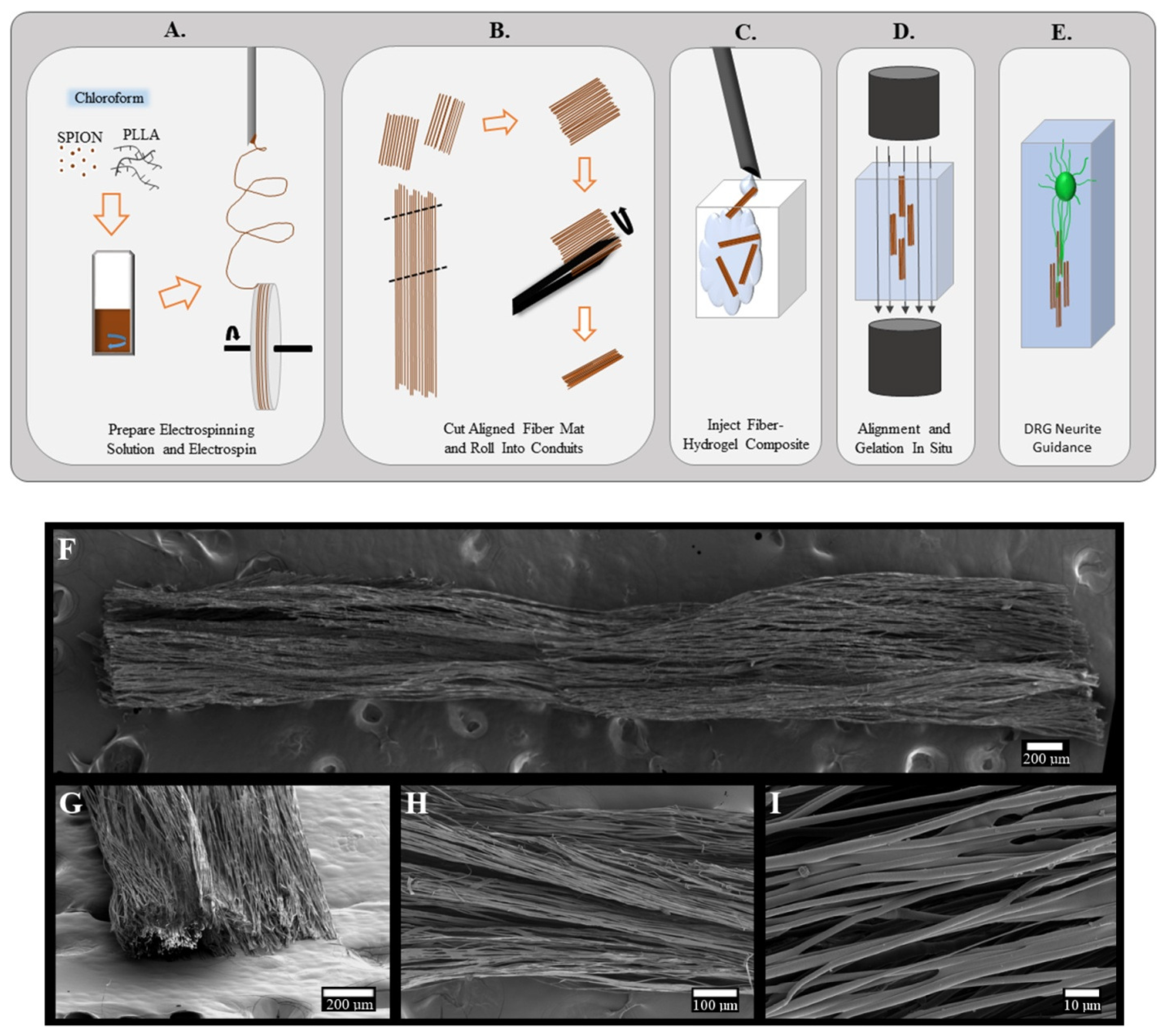 Micromachines 16 00174 g001