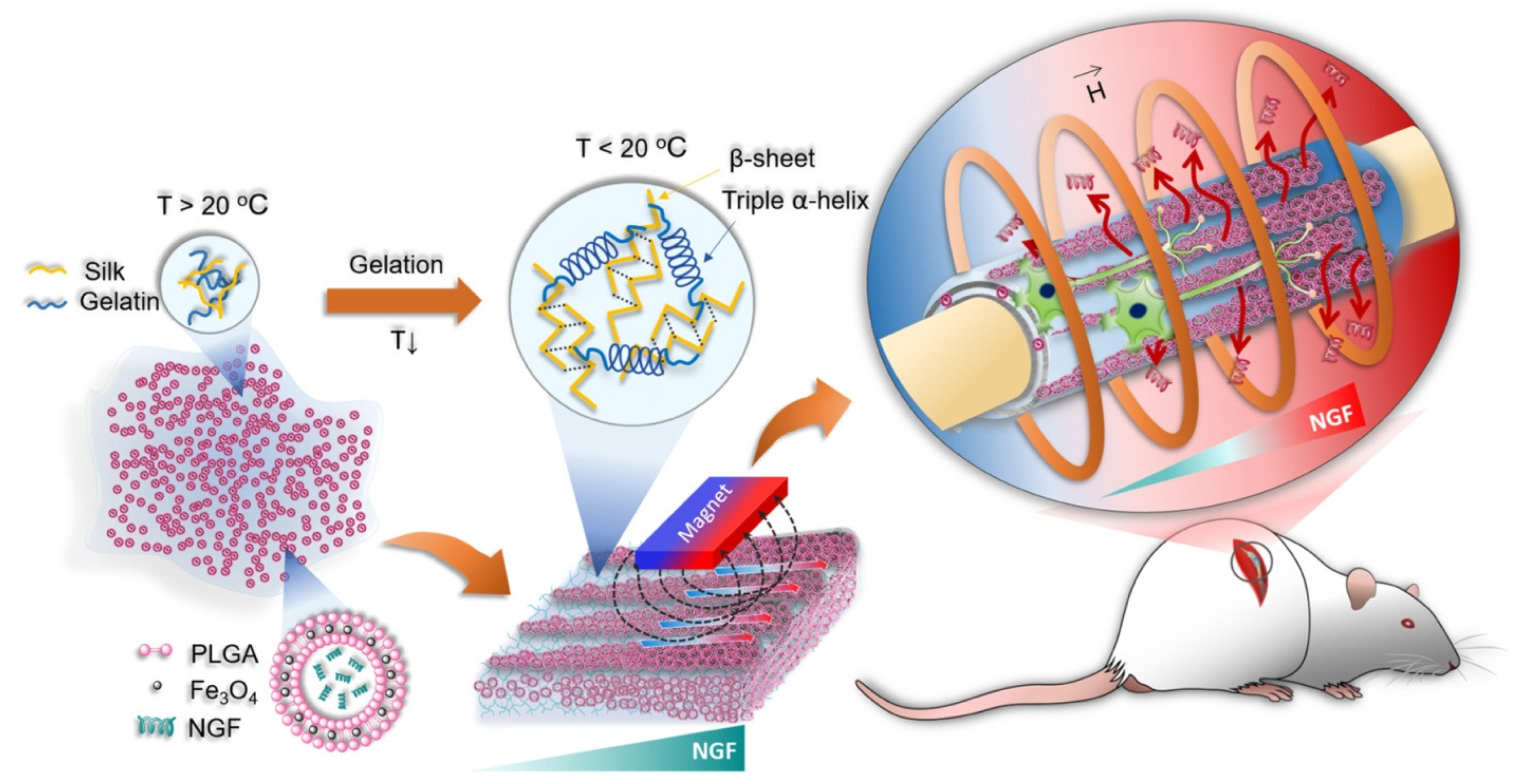 Micromachines 16 00174 g002