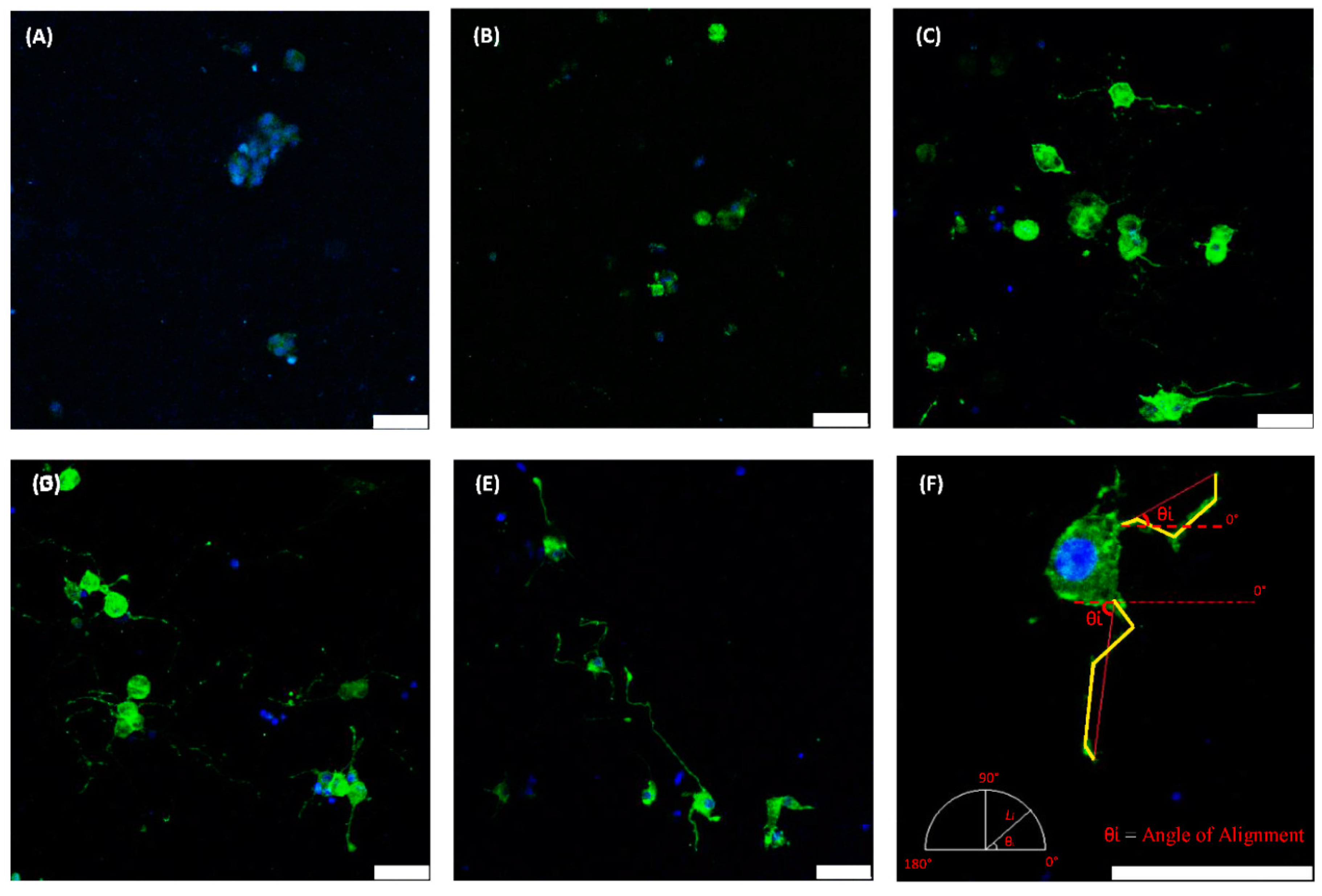 Micromachines 16 00174 g006