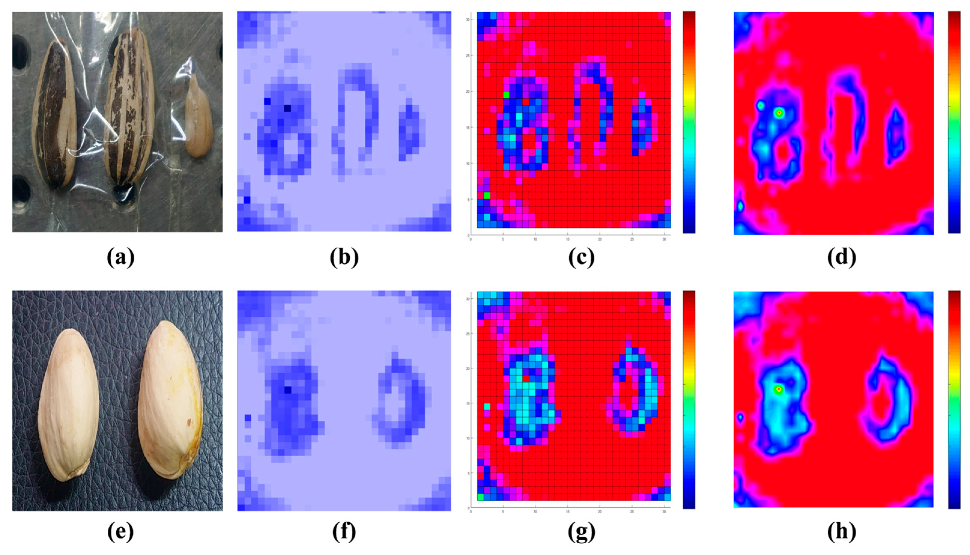 Micromachines 16 00185 g006