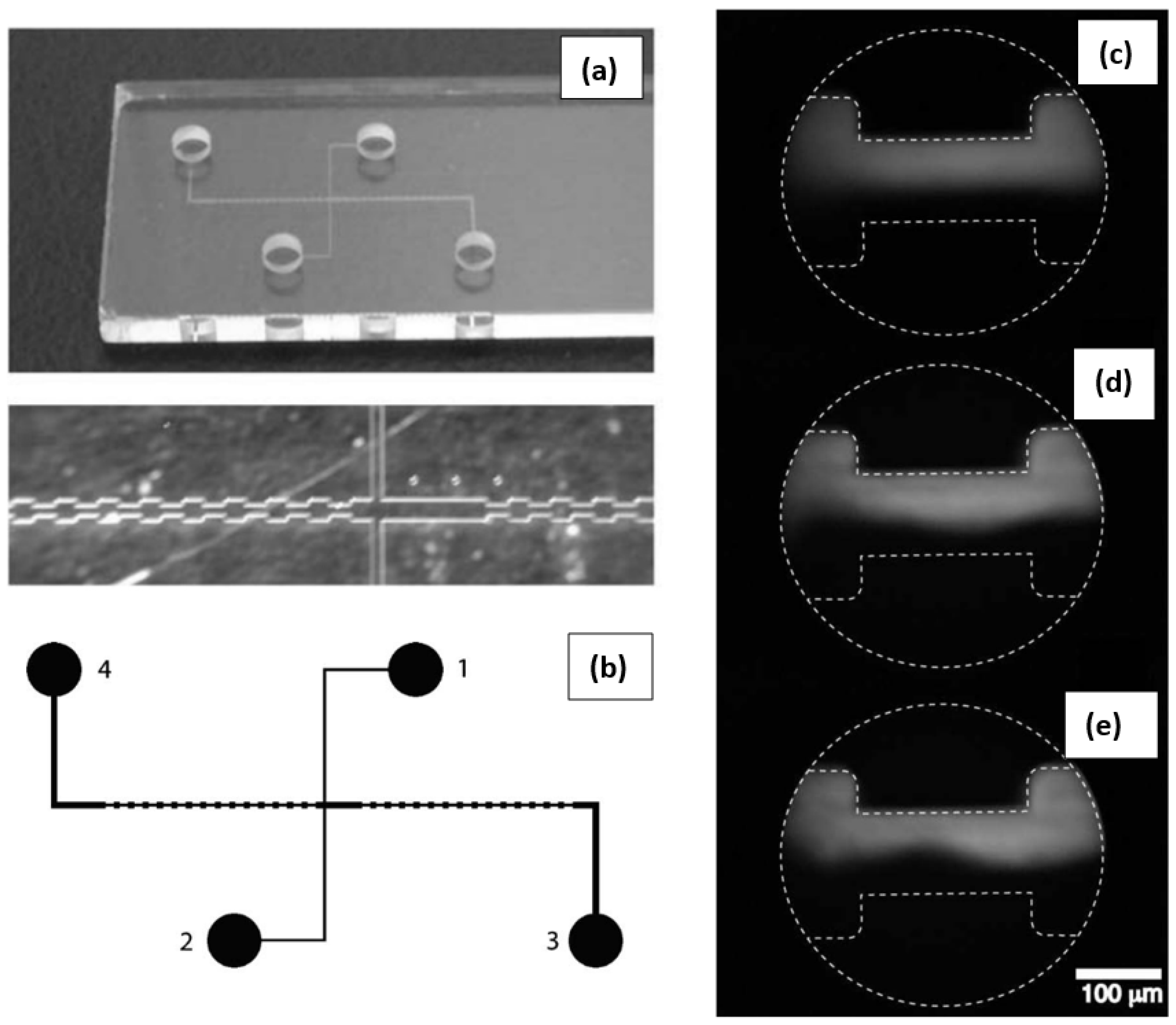 Micromachines 16 00187 g001