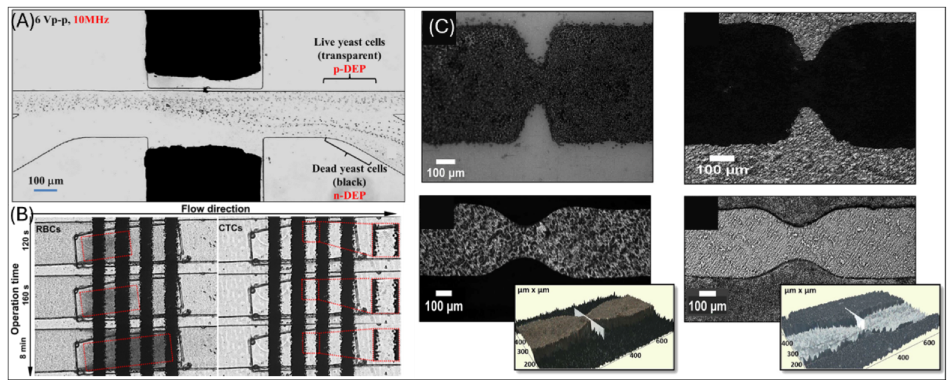 Micromachines 16 00190 g003