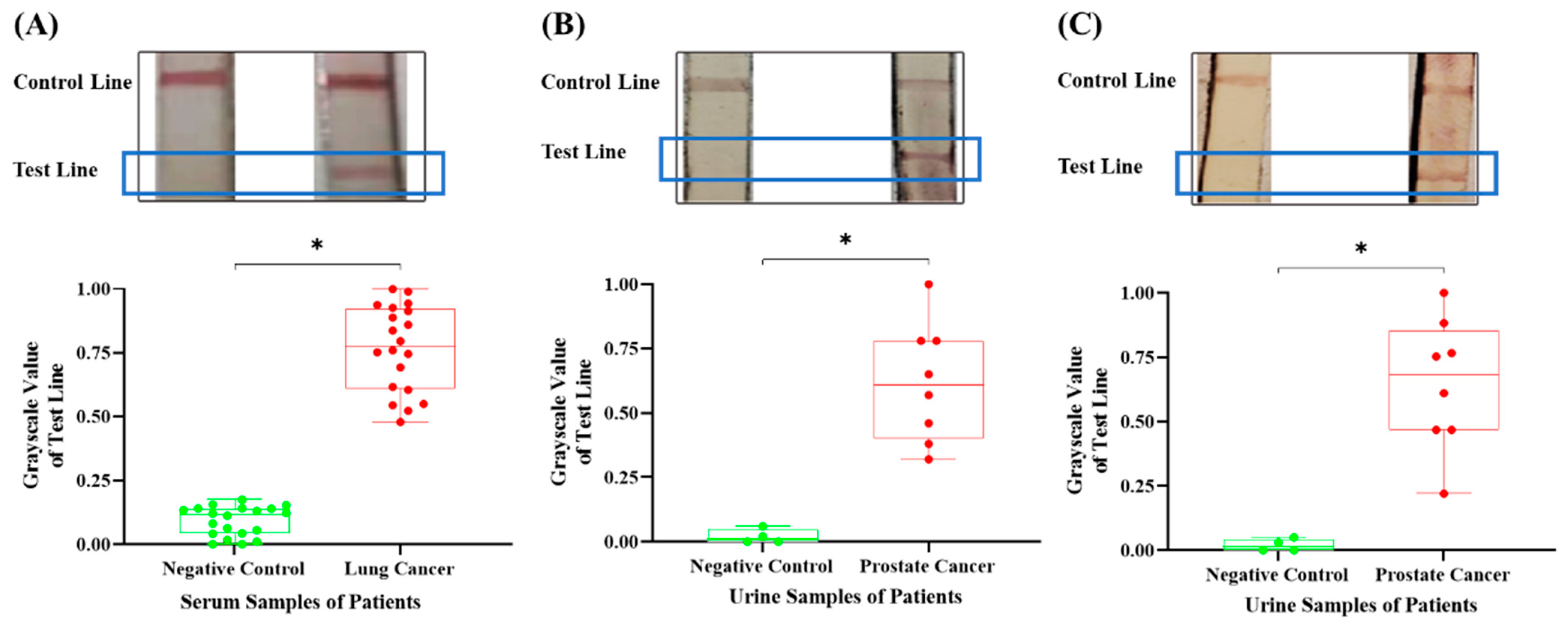 Micromachines 16 00192 g005