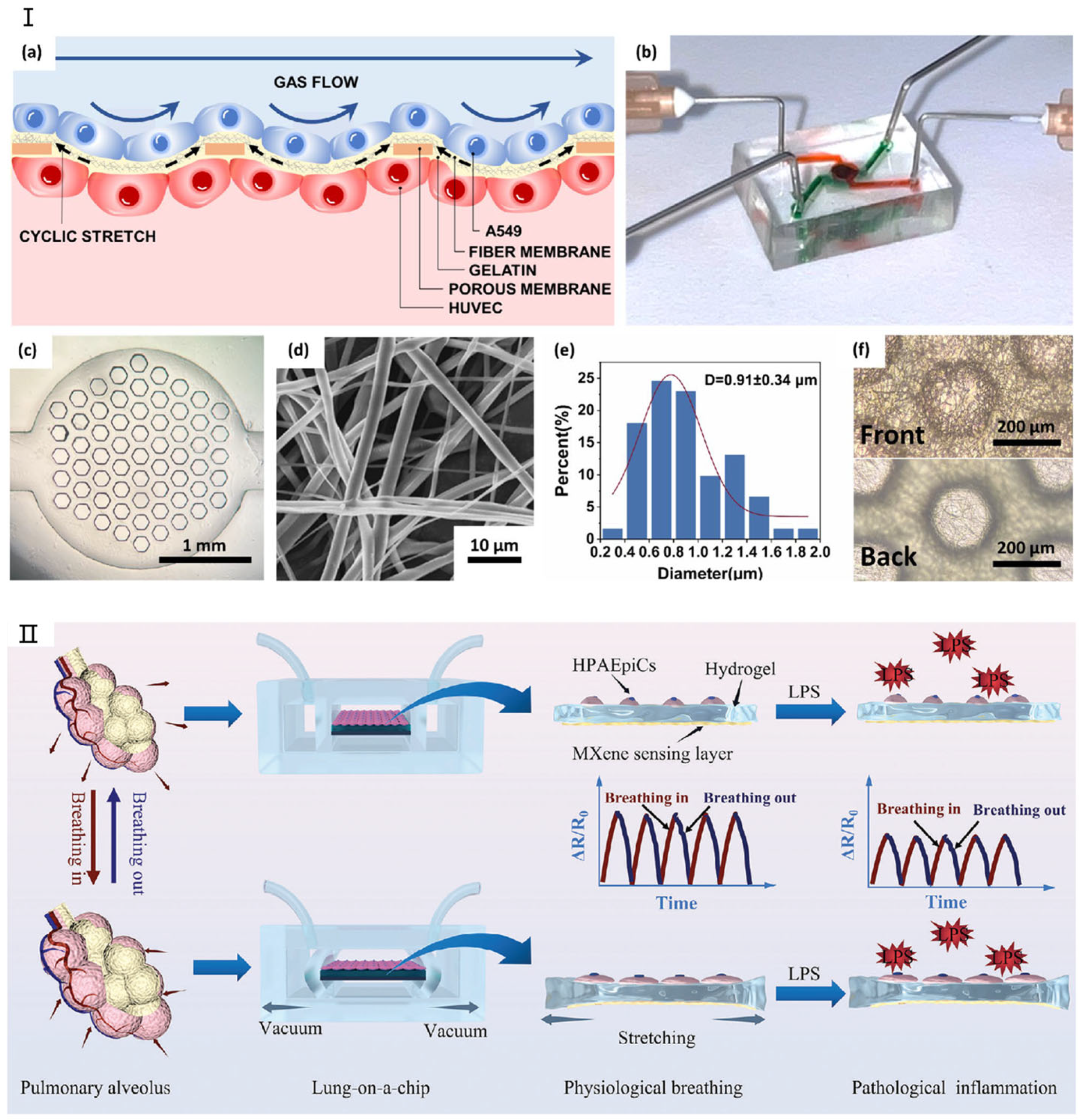 Micromachines 16 00201 g003