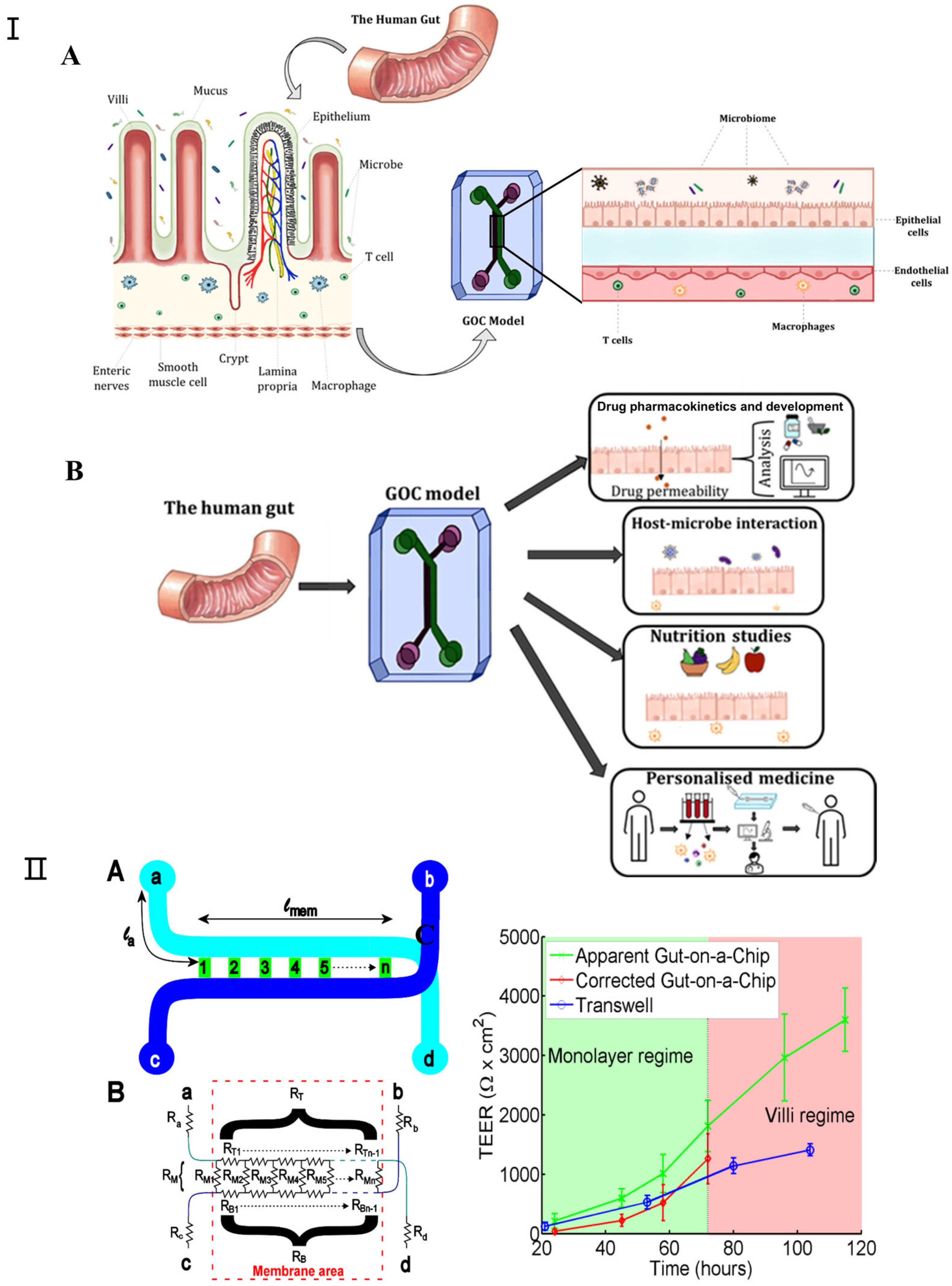 Micromachines 16 00201 g006