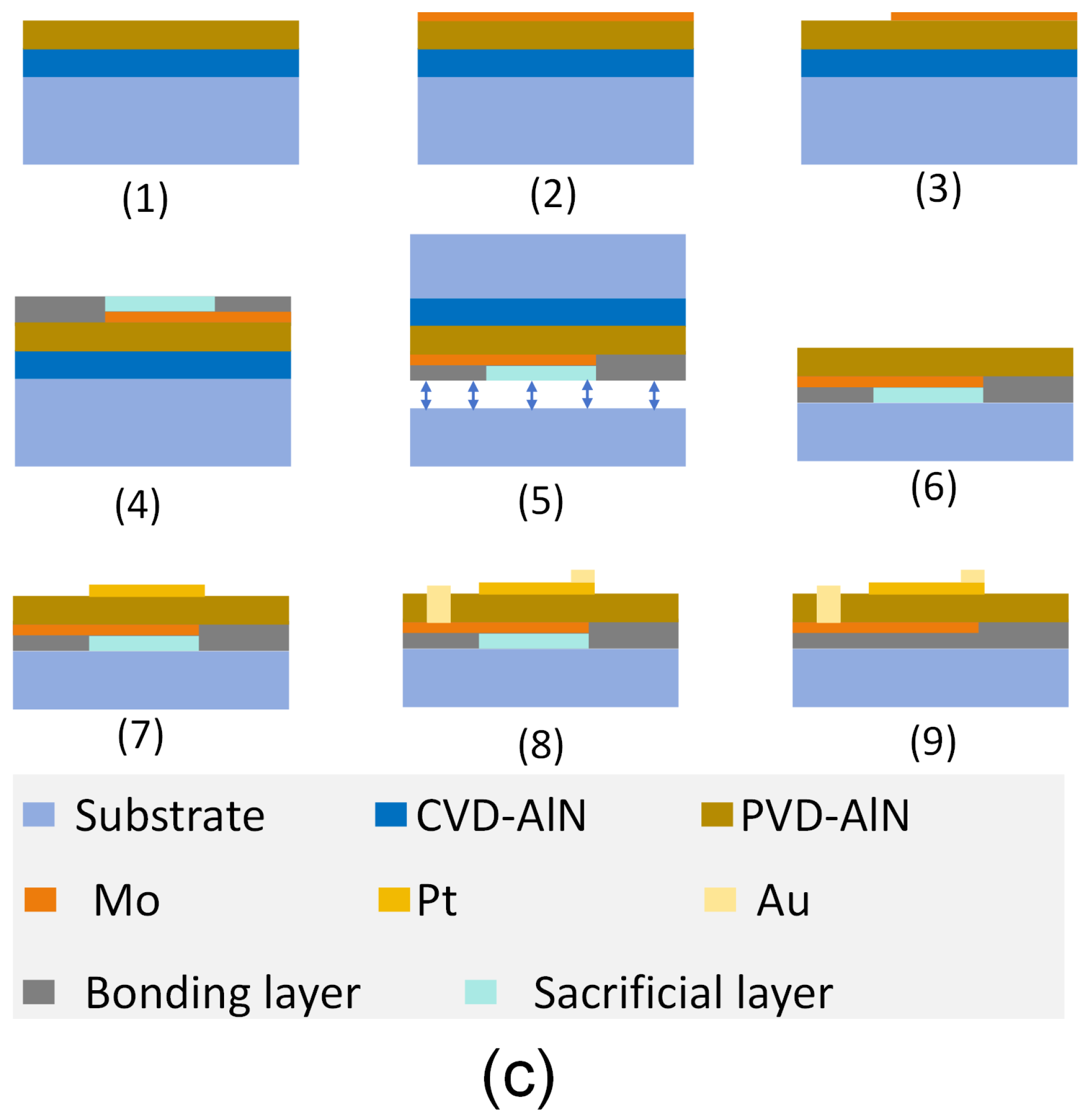 Micromachines 16 00205 g005b