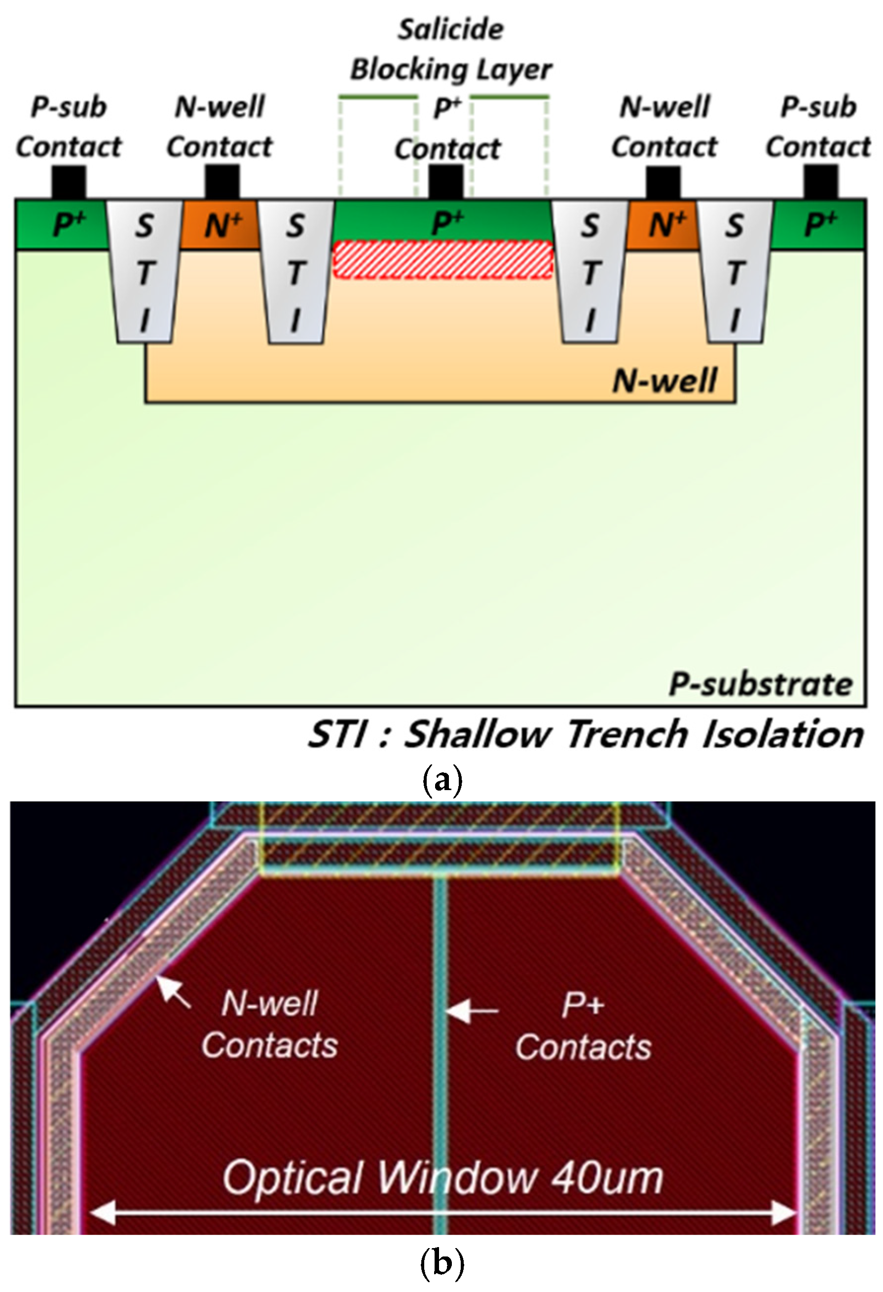 Micromachines 16 00215 g002