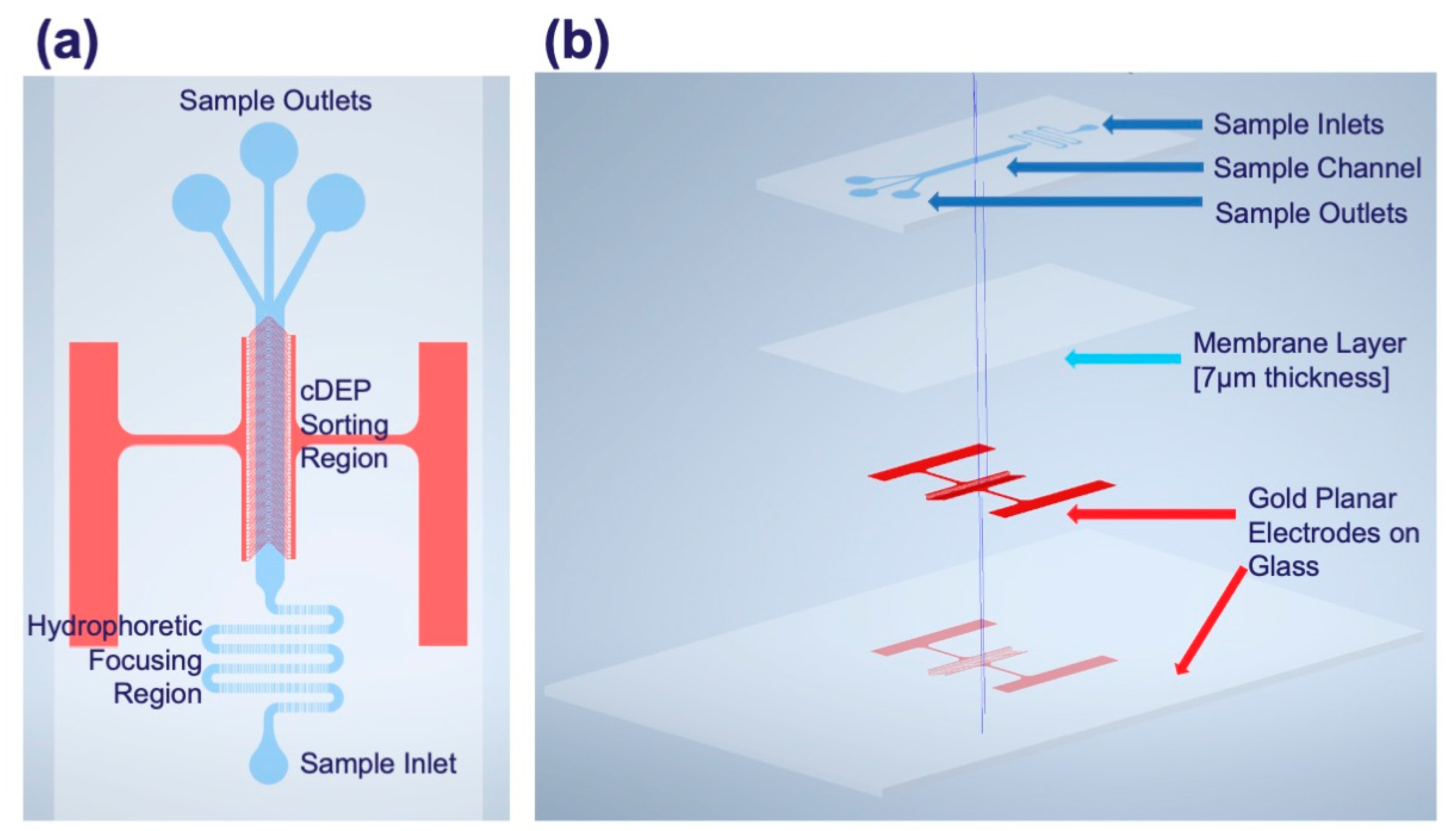 Micromachines 16 00236 g002