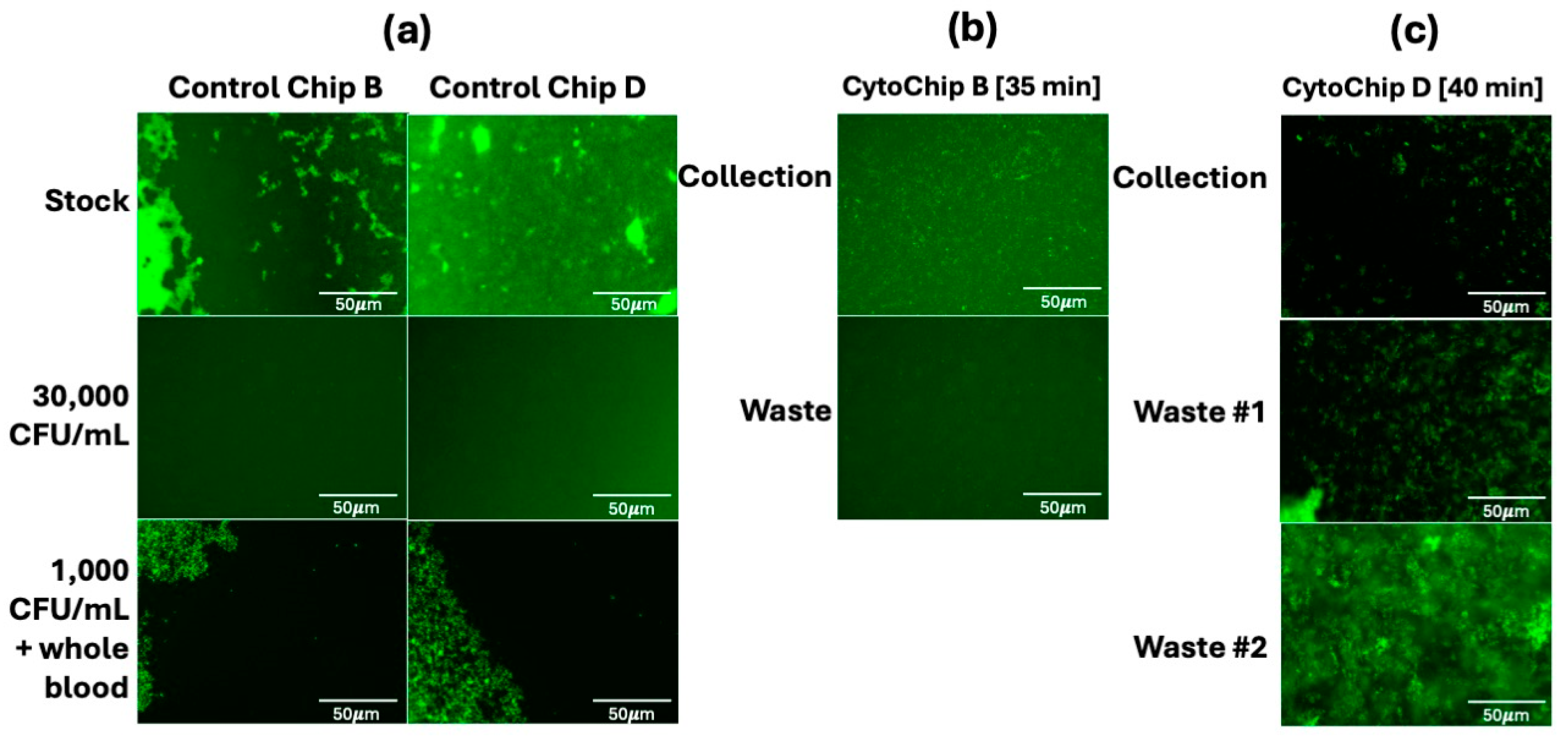 Micromachines 16 00236 g006