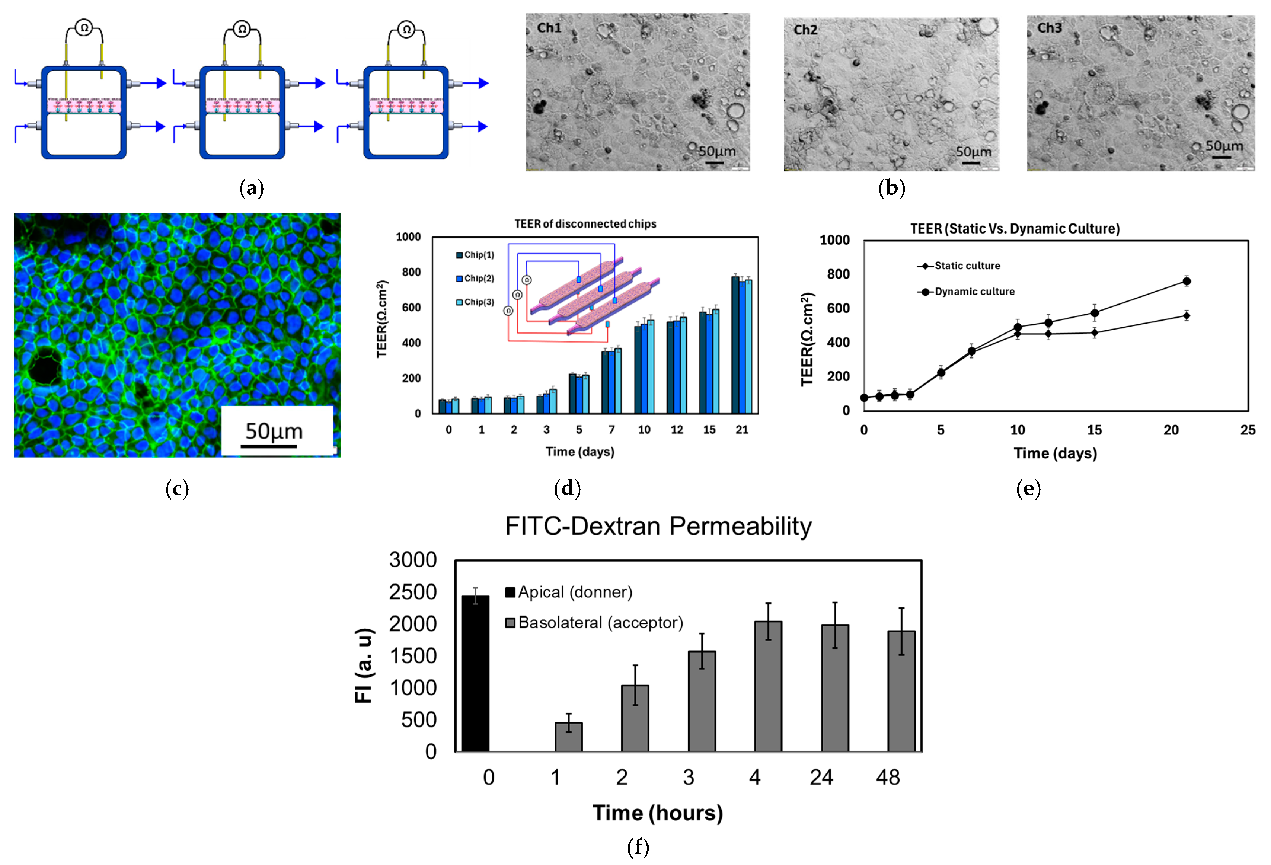 Micromachines 16 00237 g004 Micromachines 16 00237 g004