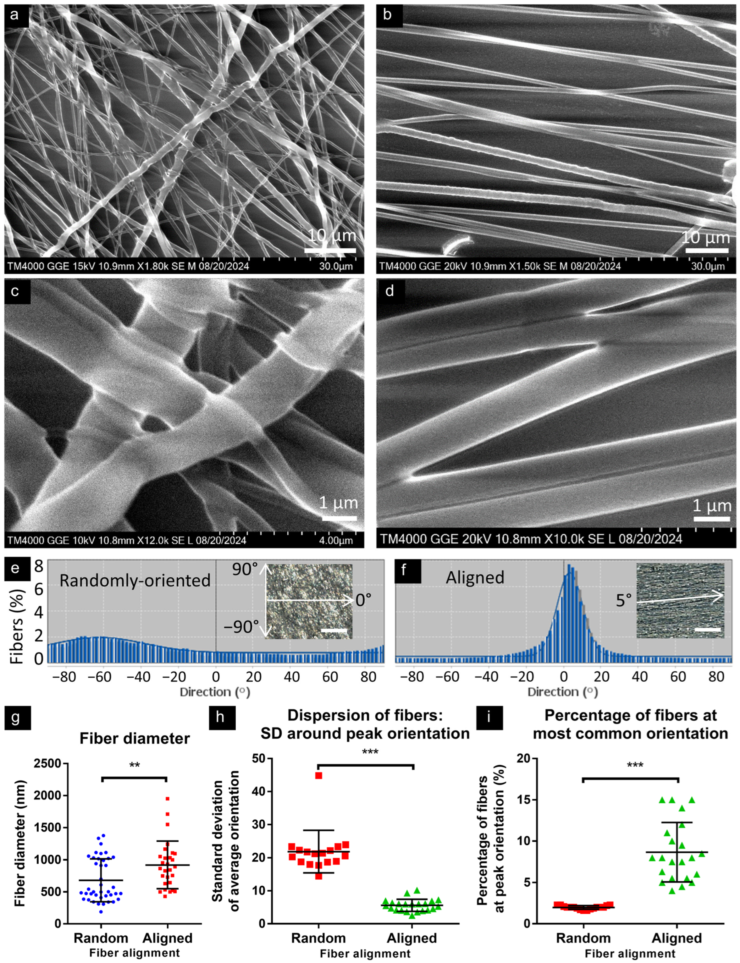 Micromachines 16 00256 g001