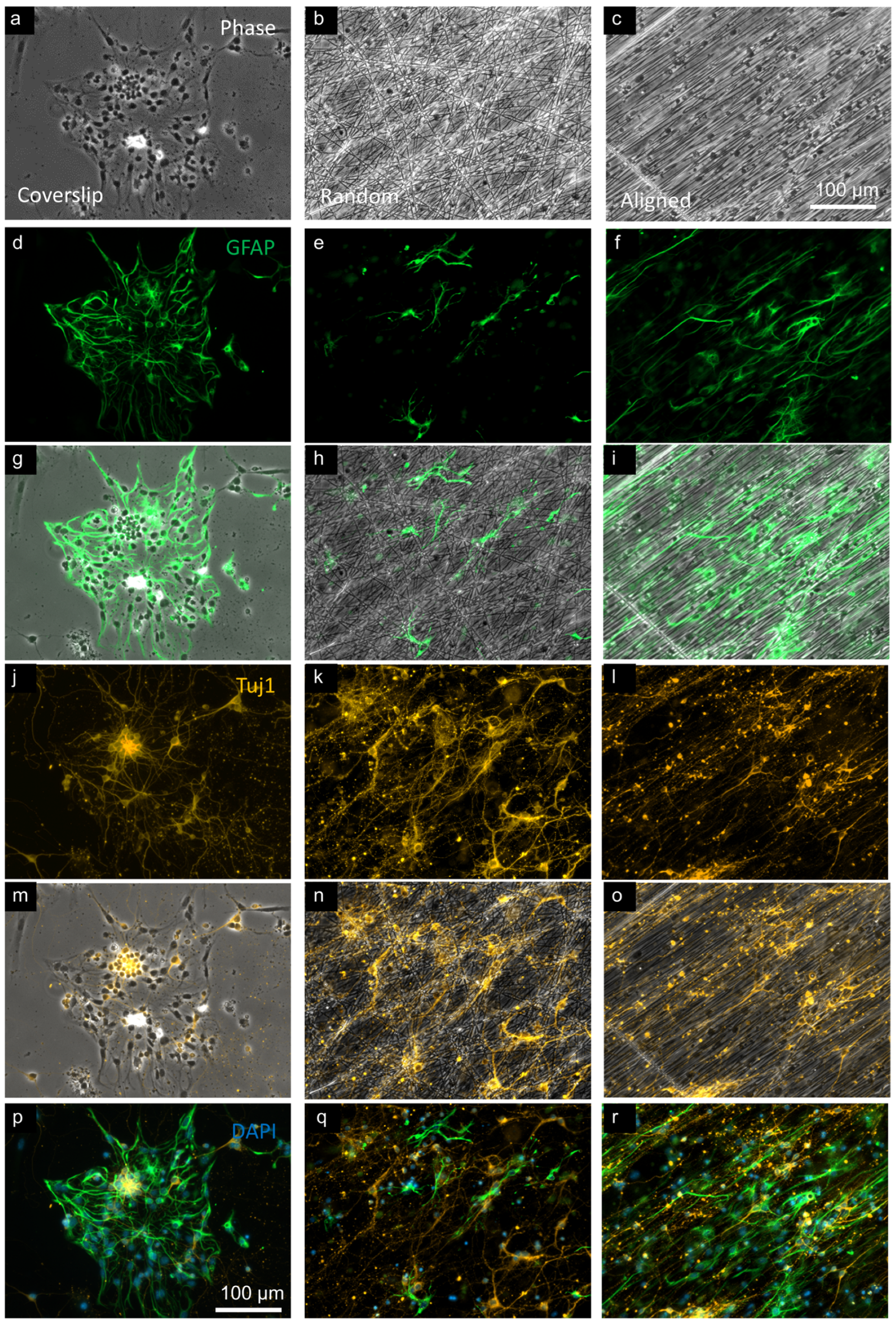 Micromachines 16 00256 g002