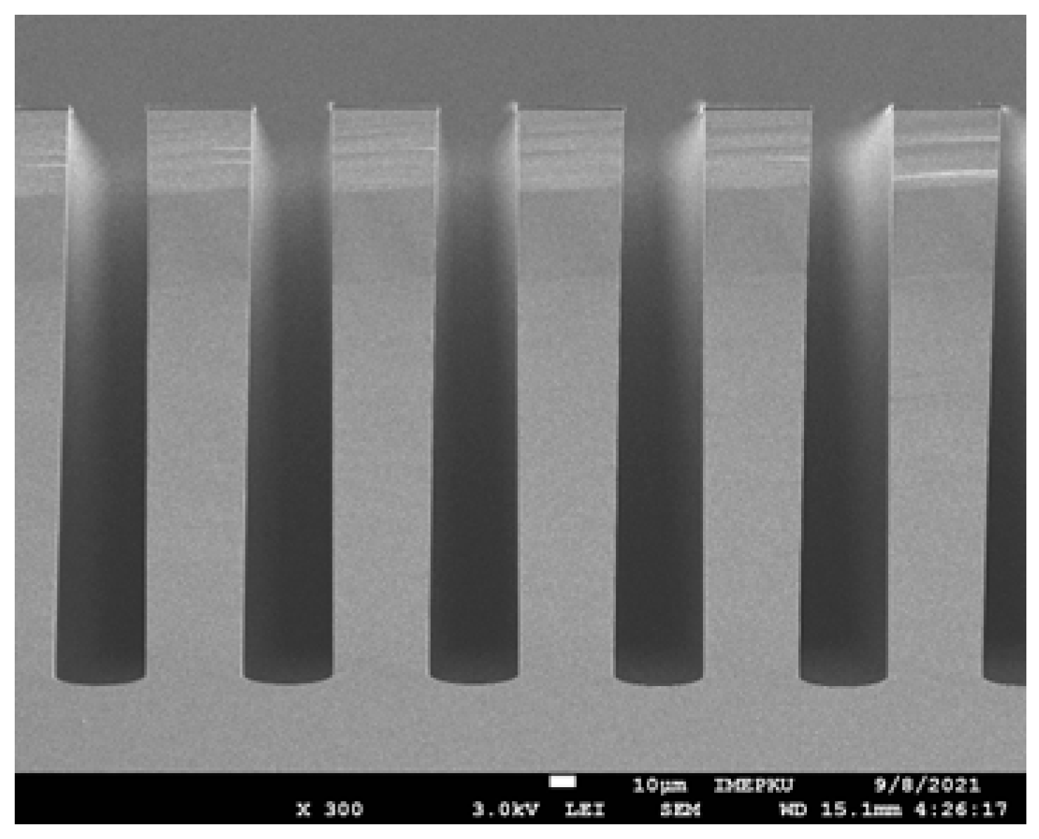 Micromachines 16 00262 g010