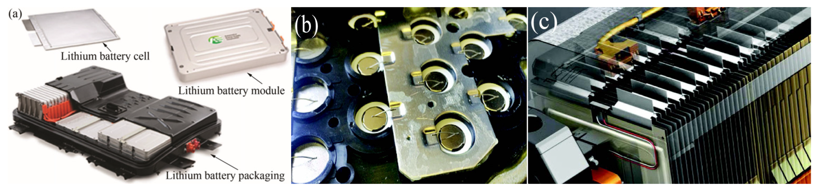 Micromachines 16 00263 g002