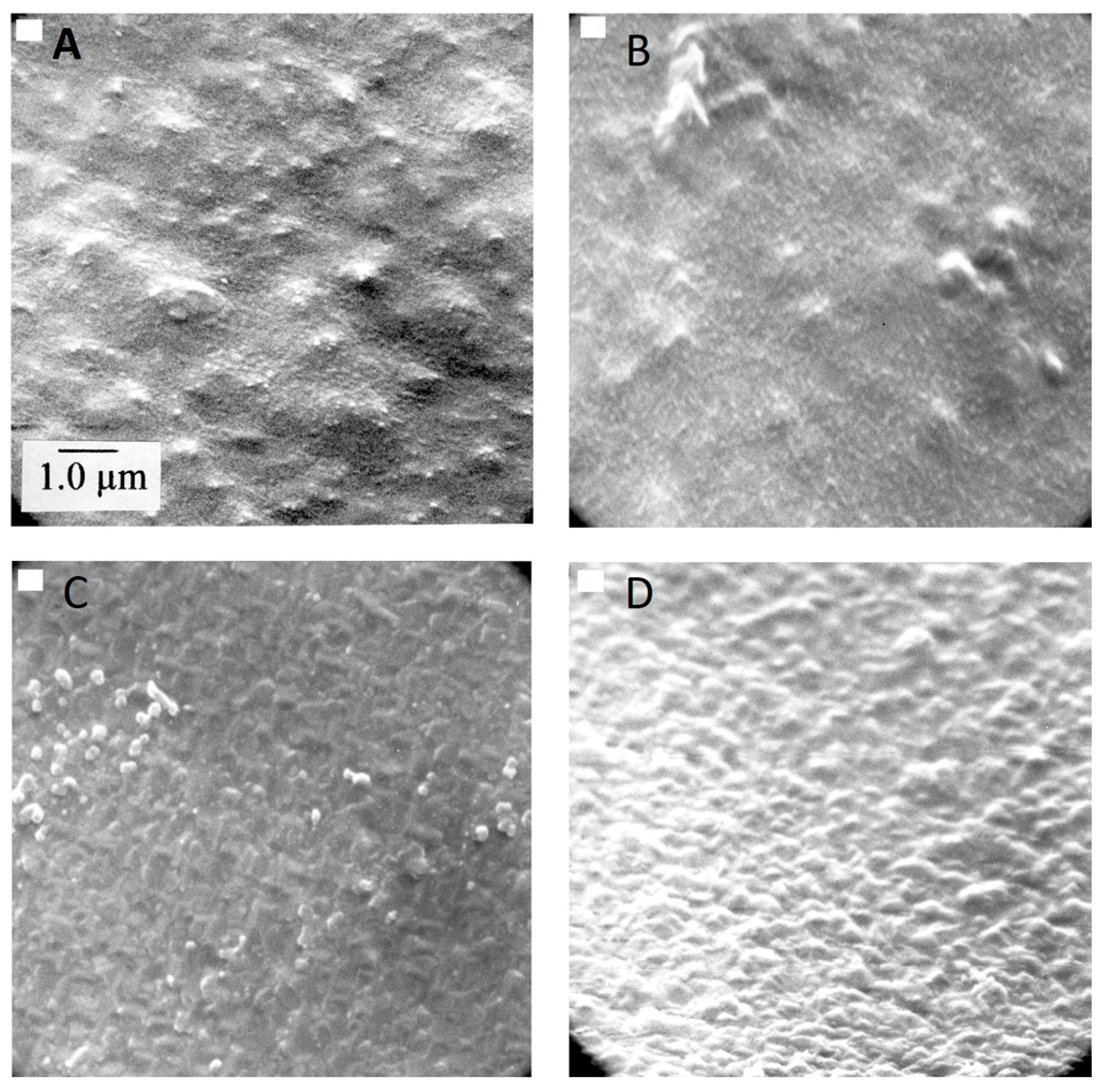 Micromachines 16 00276 g021
