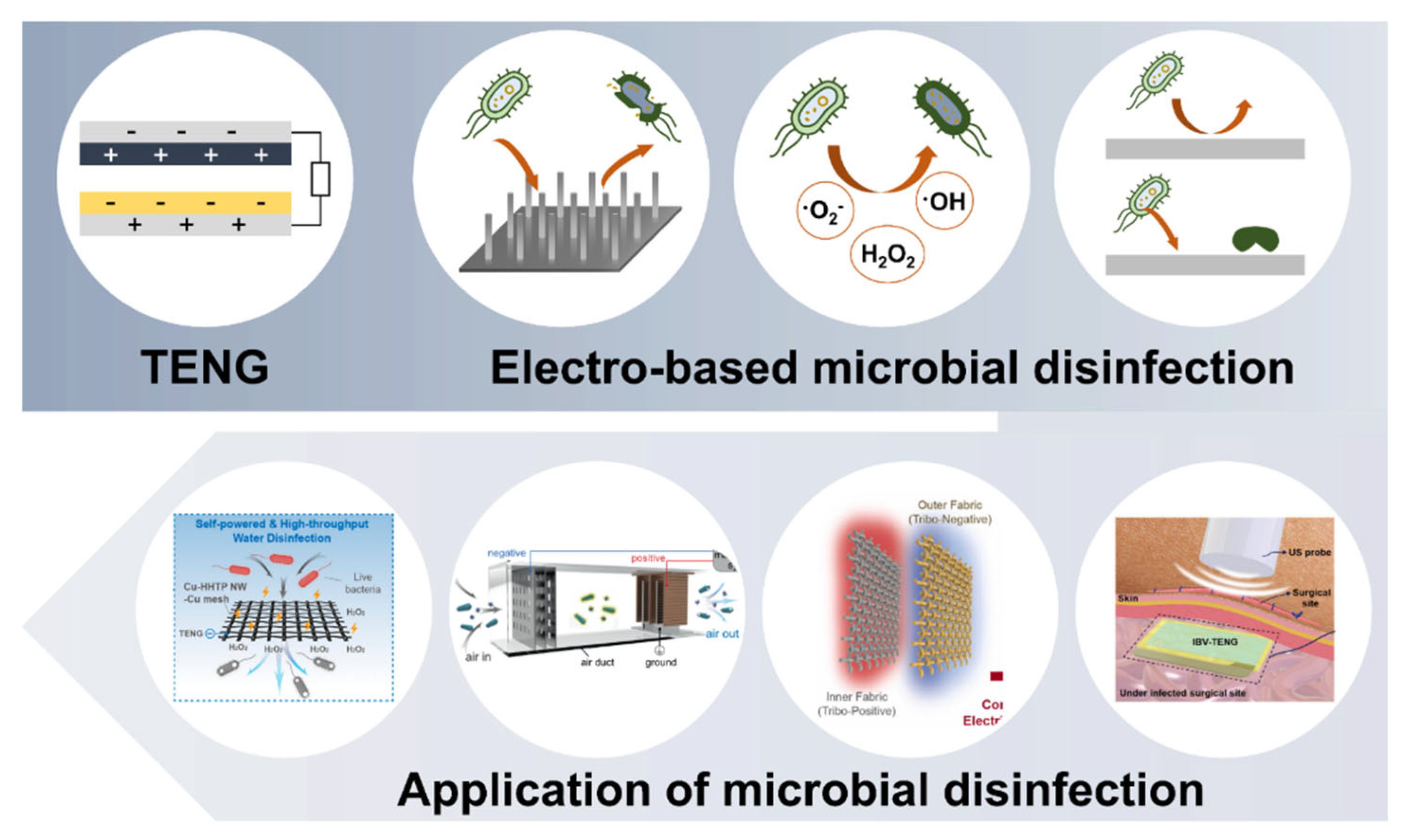 Micromachines 16 00281 g001
