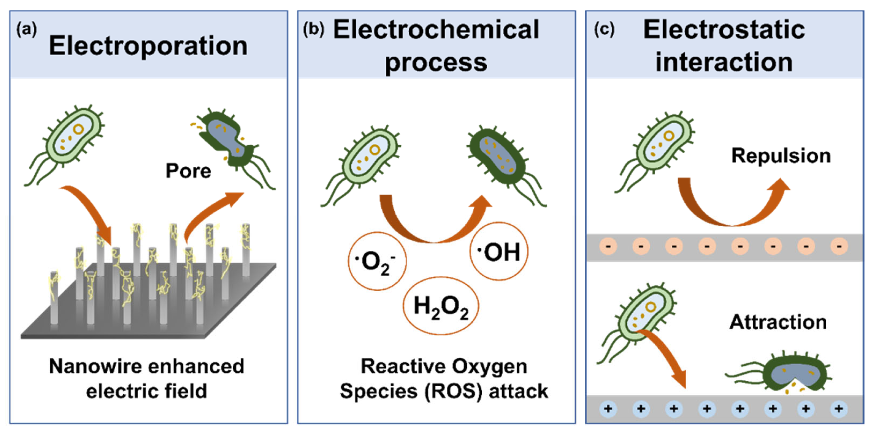 Micromachines 16 00281 g003
