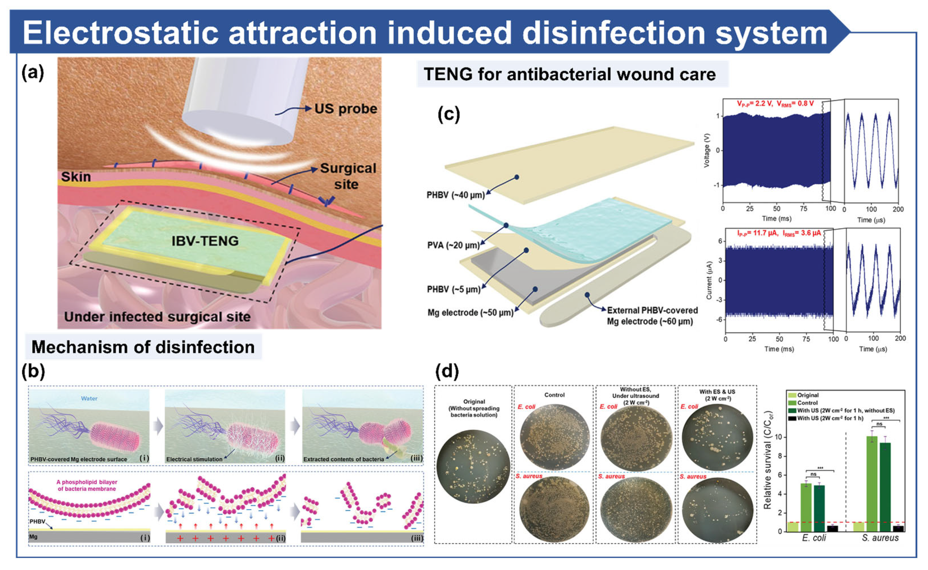Micromachines 16 00281 g007