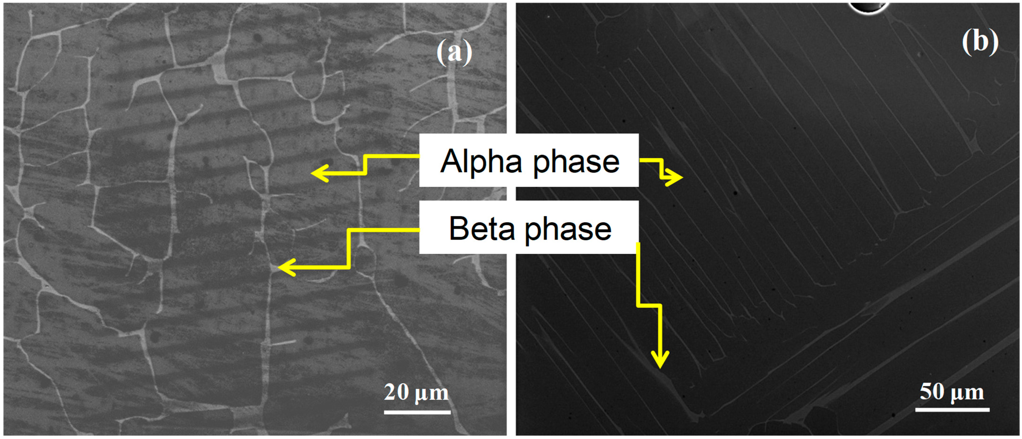 Micromachines 16 00293 g001