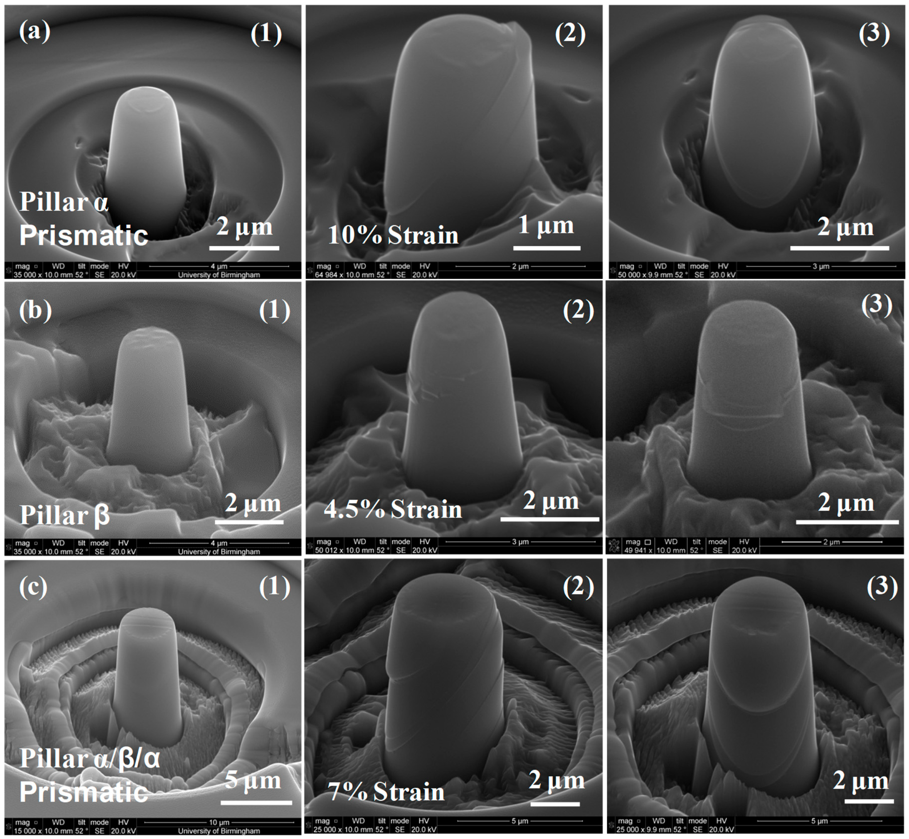 Micromachines 16 00293 g008