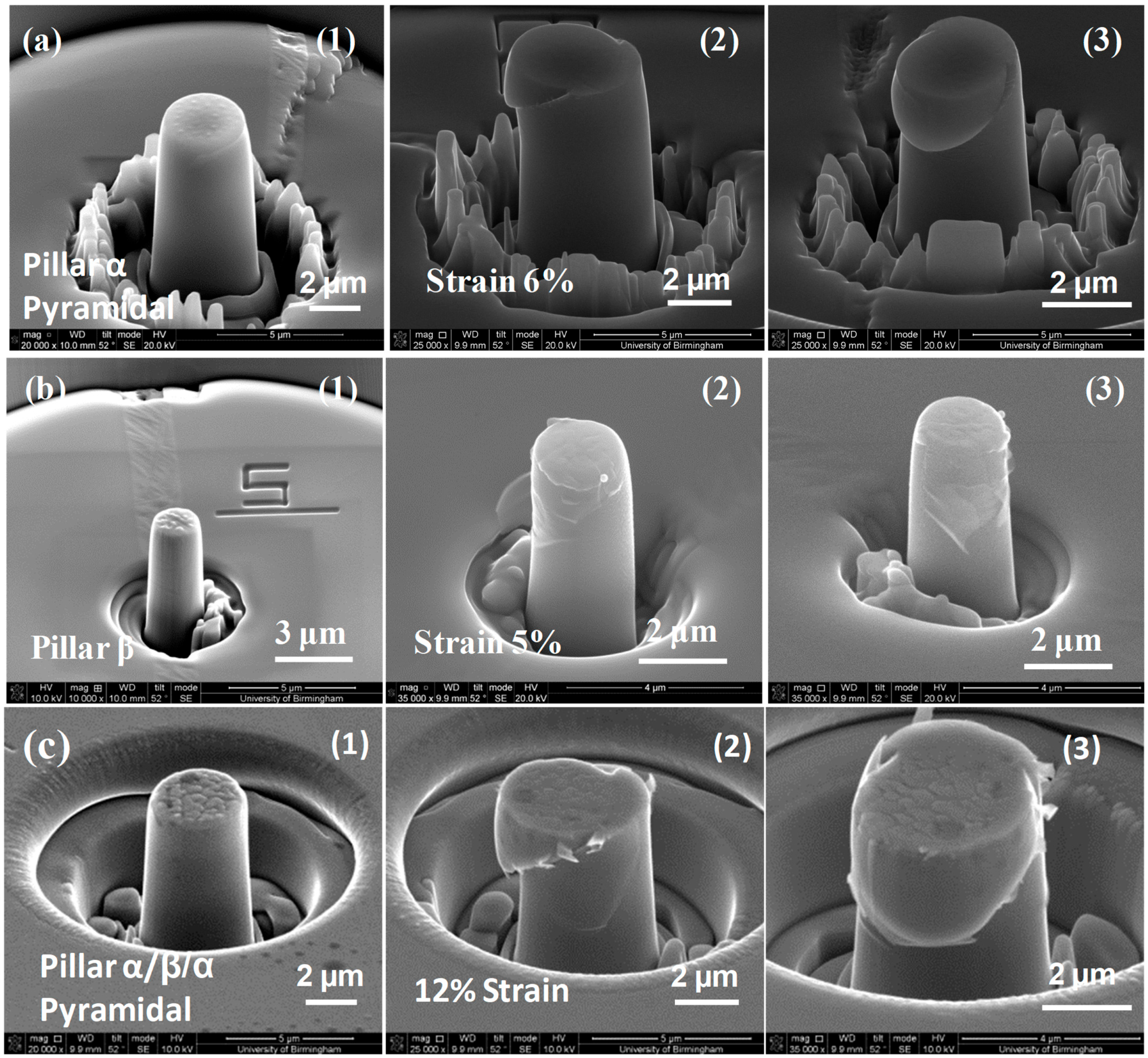Micromachines 16 00293 g010