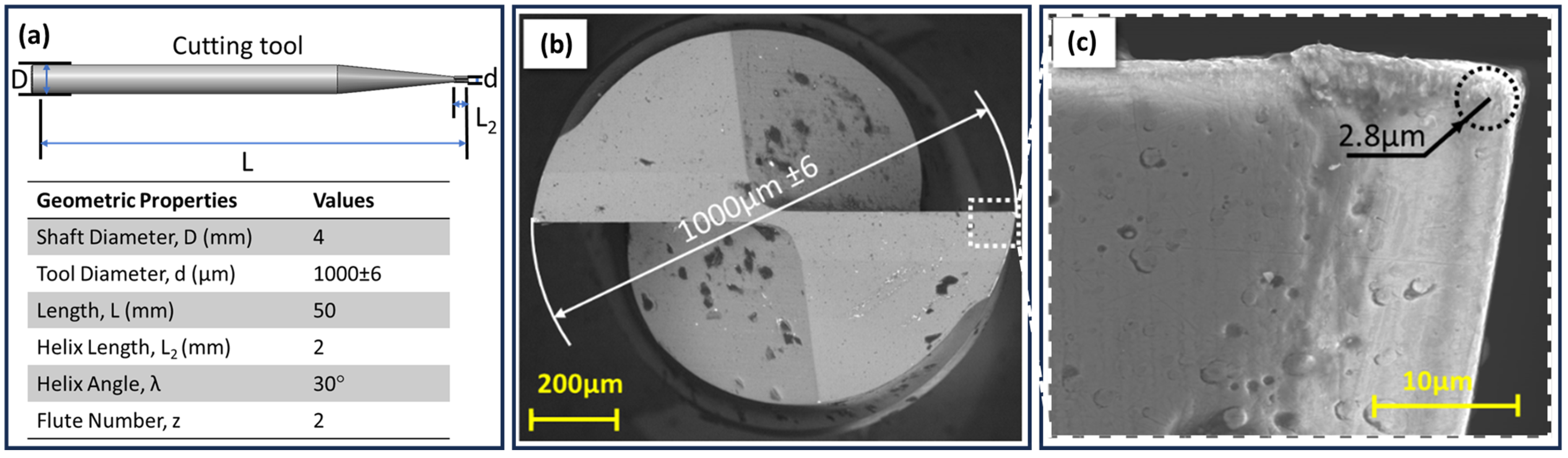 Micromachines 16 00310 g001