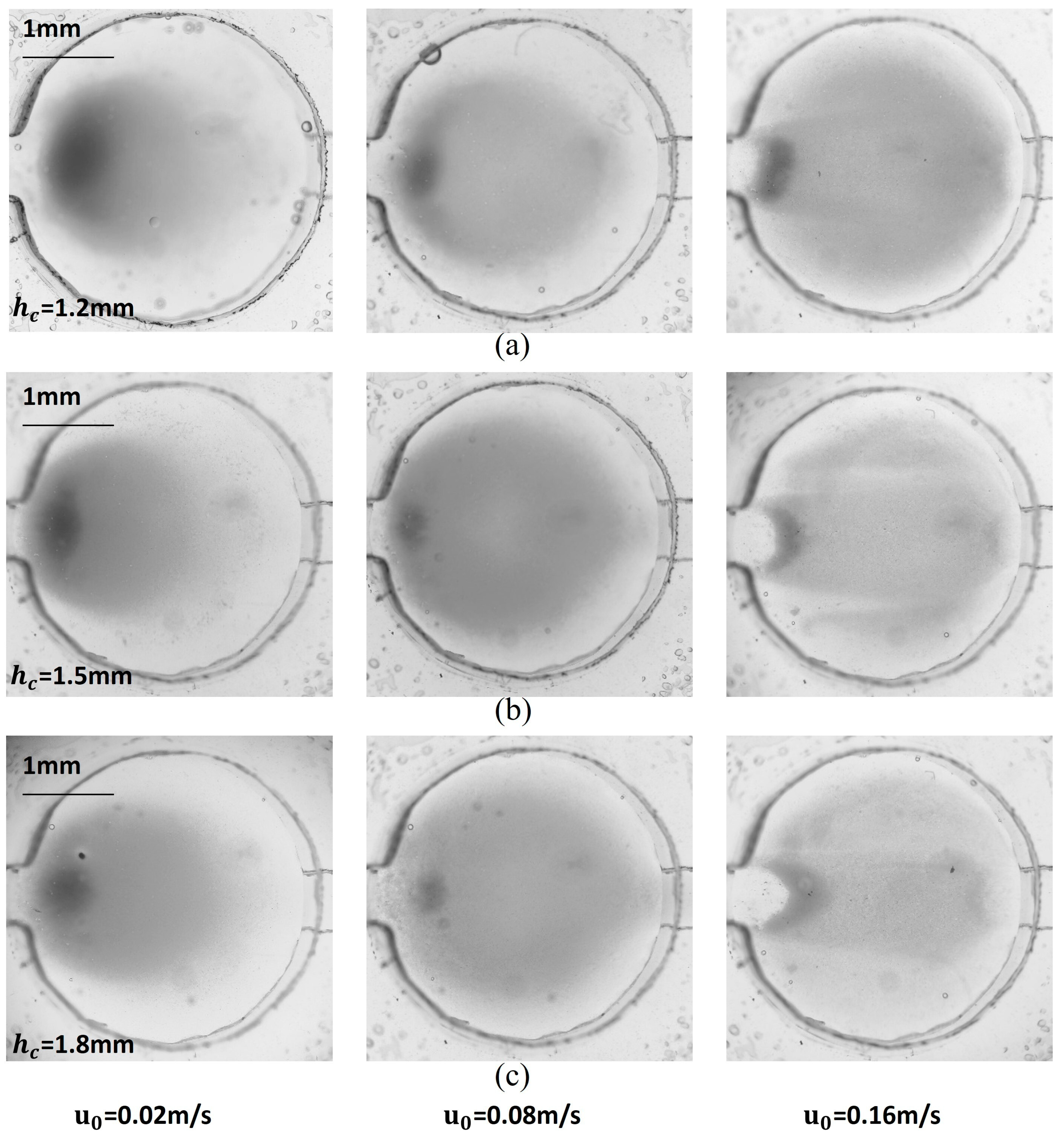 Micromachines 16 00332 g006