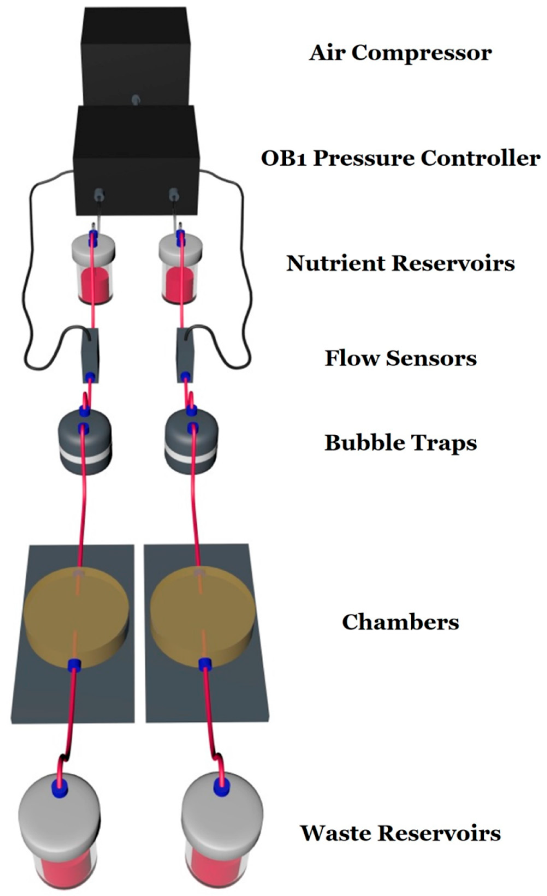 Micromachines 16 00341 g001