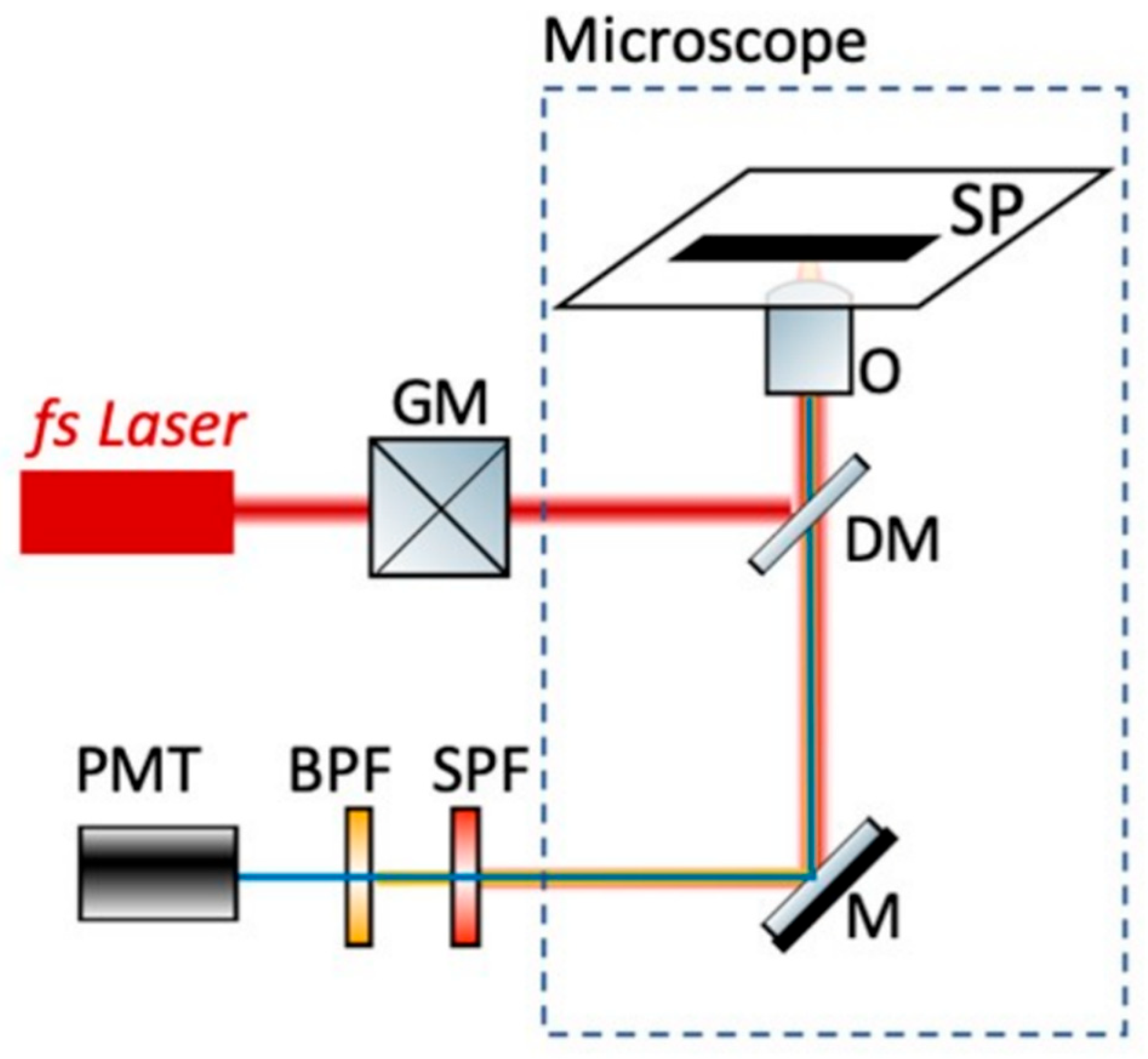 Micromachines 16 00341 g002