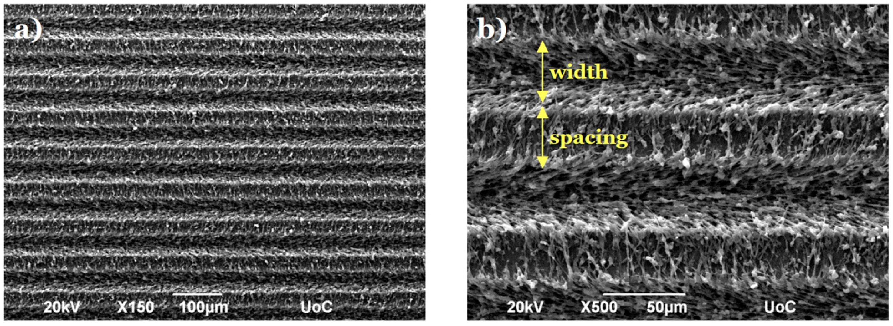 Micromachines 16 00341 g003