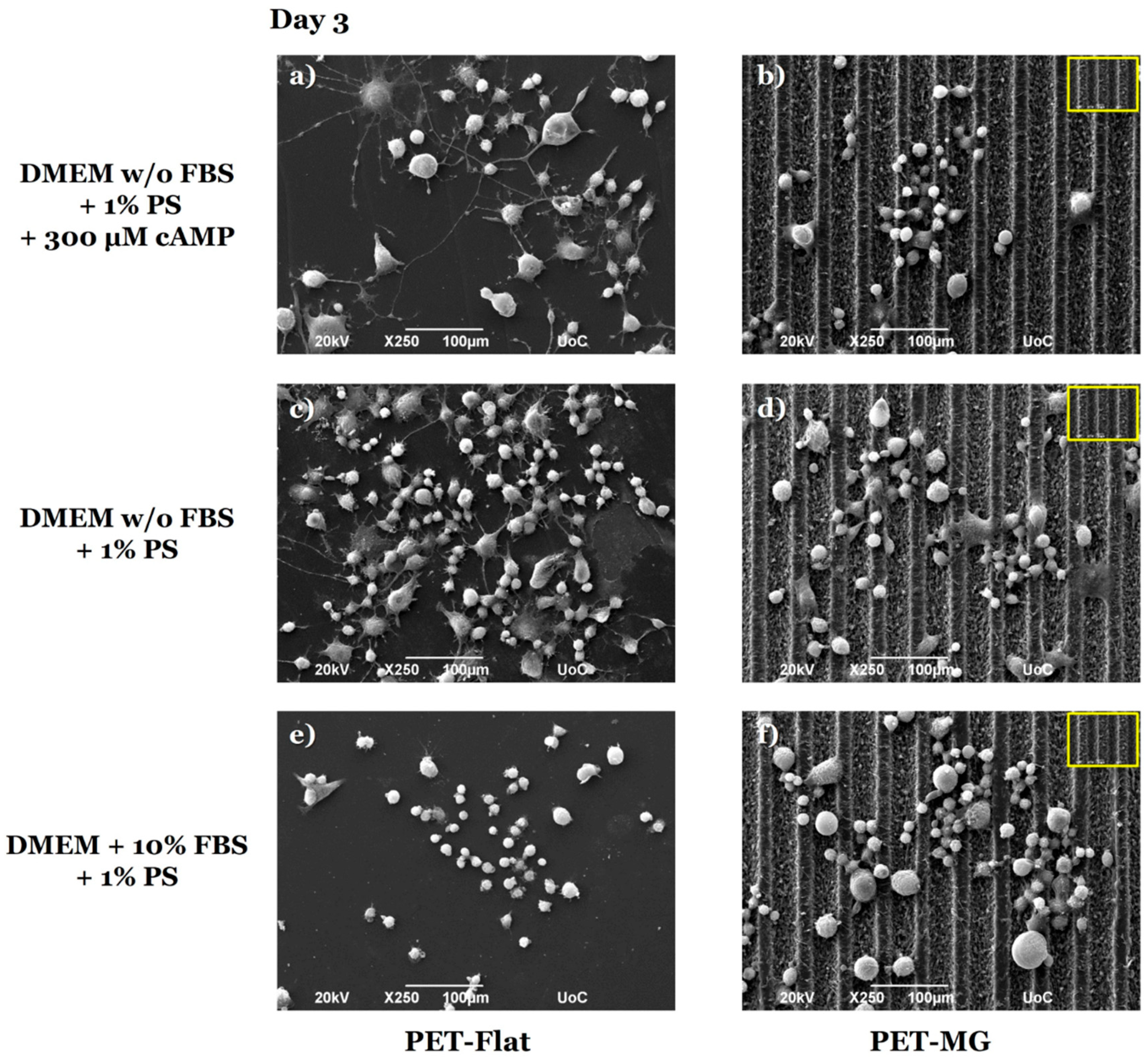 Micromachines 16 00341 g004