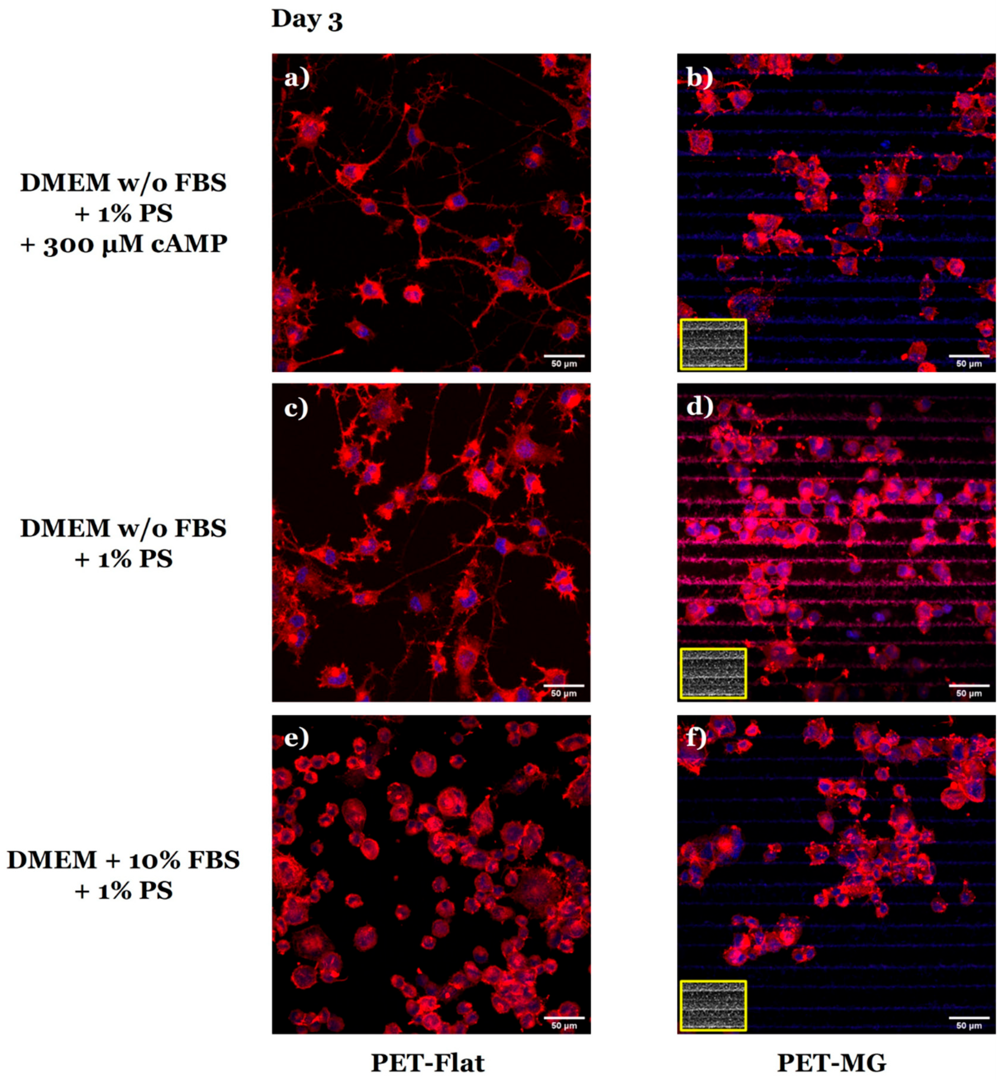 Micromachines 16 00341 g005
