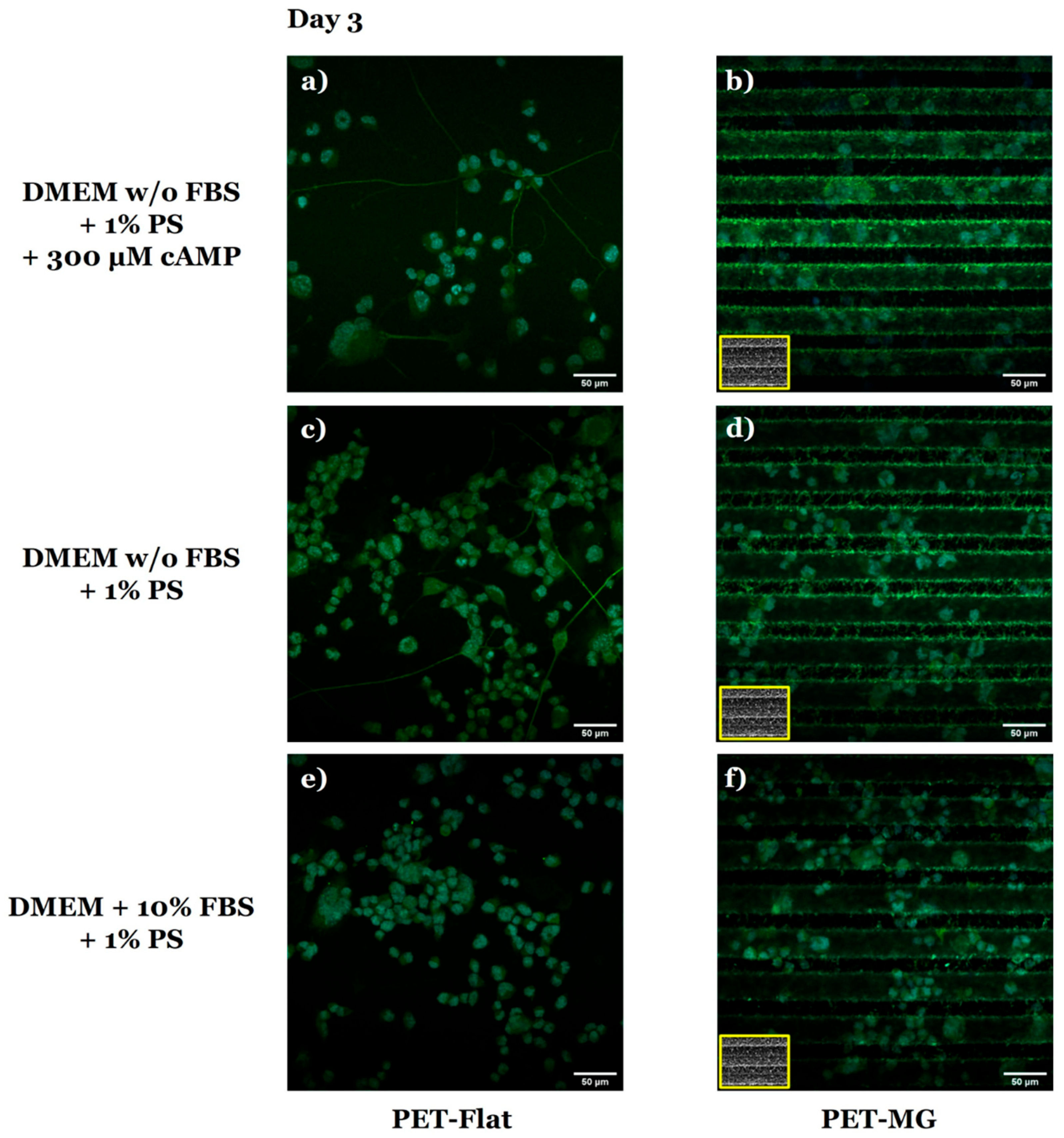 Micromachines 16 00341 g006